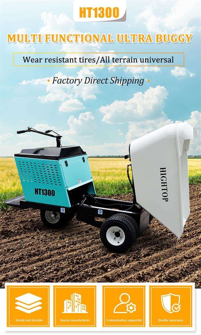 Mini Dump Truck