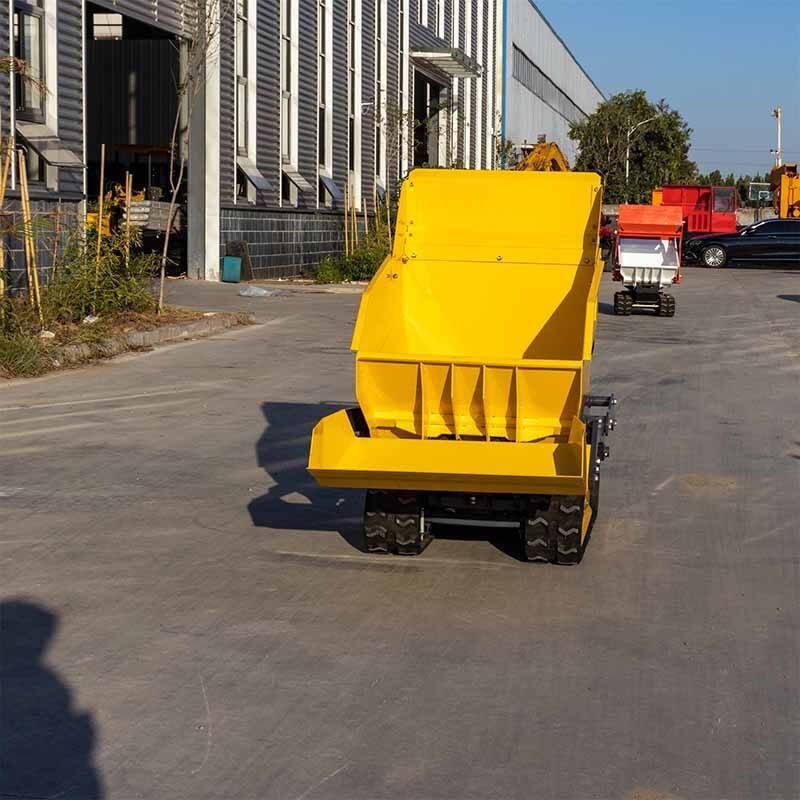 Mini Crawler Dumper
