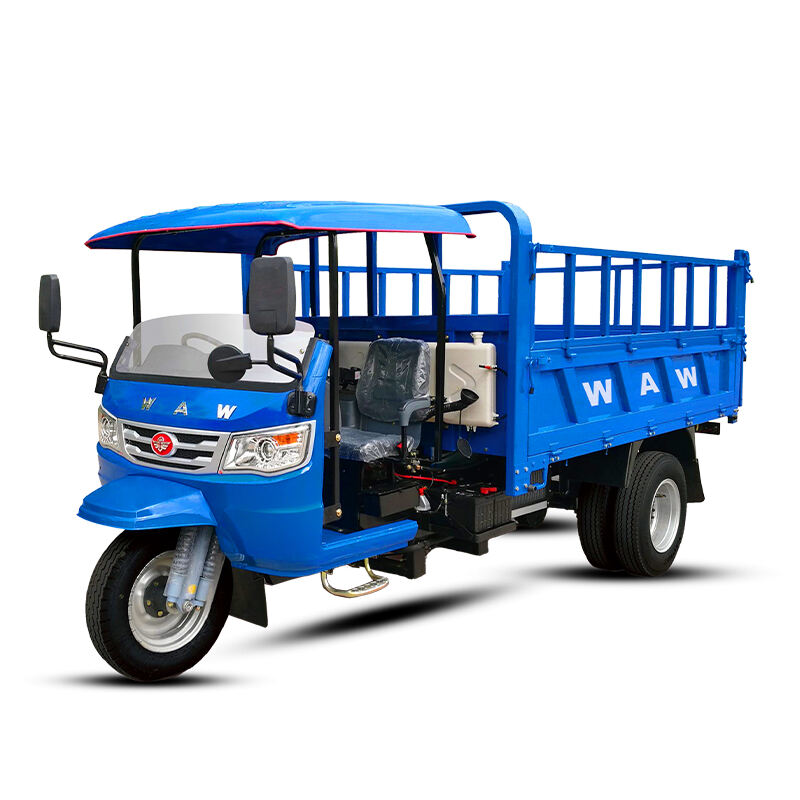 SINORAY Cargo Tricycle WKH5B311