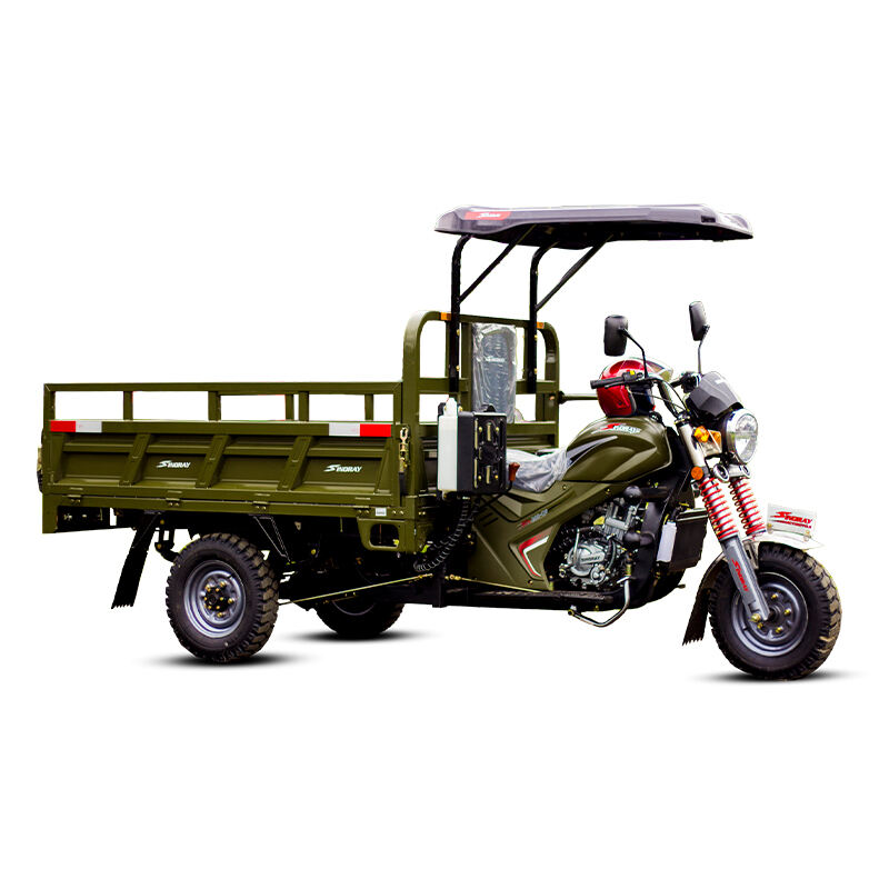 SINORAY Cargo Tricycle SR200-Q6