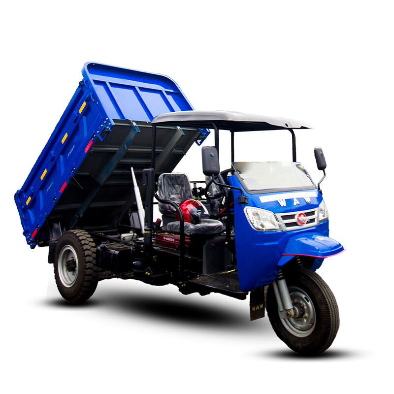 SINORAY Cargo Tricycle WKH3B311