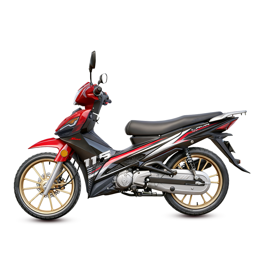 Cleaning and maintenance methods for motorcycle fuel tanks