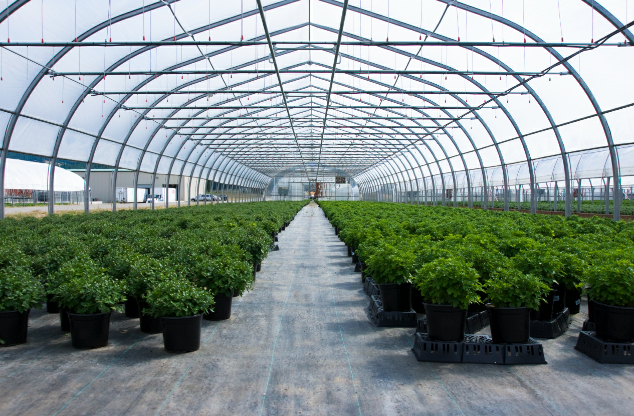 What Makes High Tunnel Greenhouses a Smart Investment for Wholesale Growers?