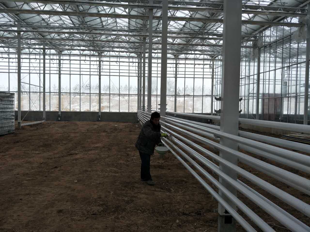 Cómo los calentadores tubulares para invernadero pueden reducir los costos de calefacción para los cultivadores