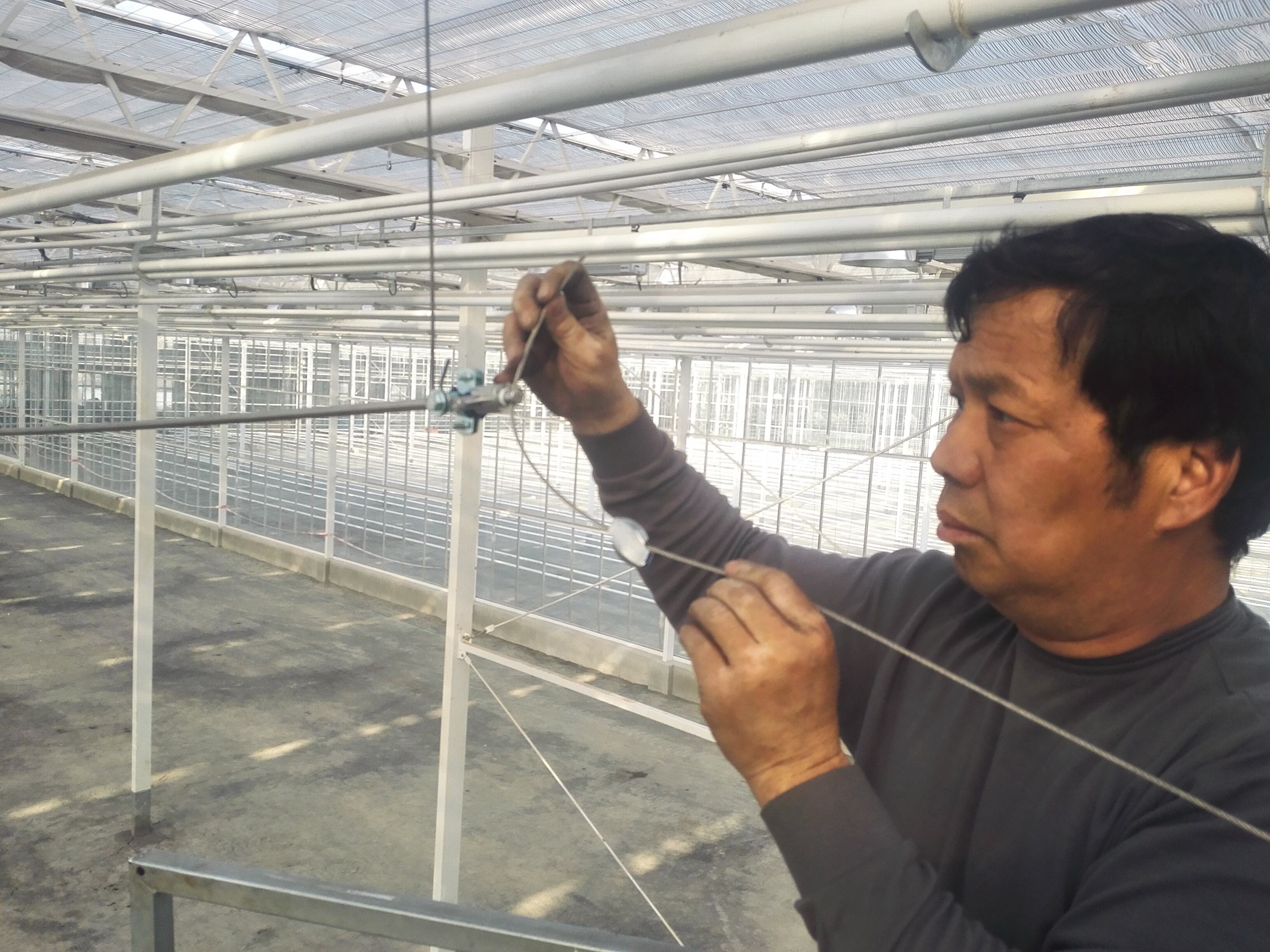 Greenhouse sprinklers great for keep plants healthy