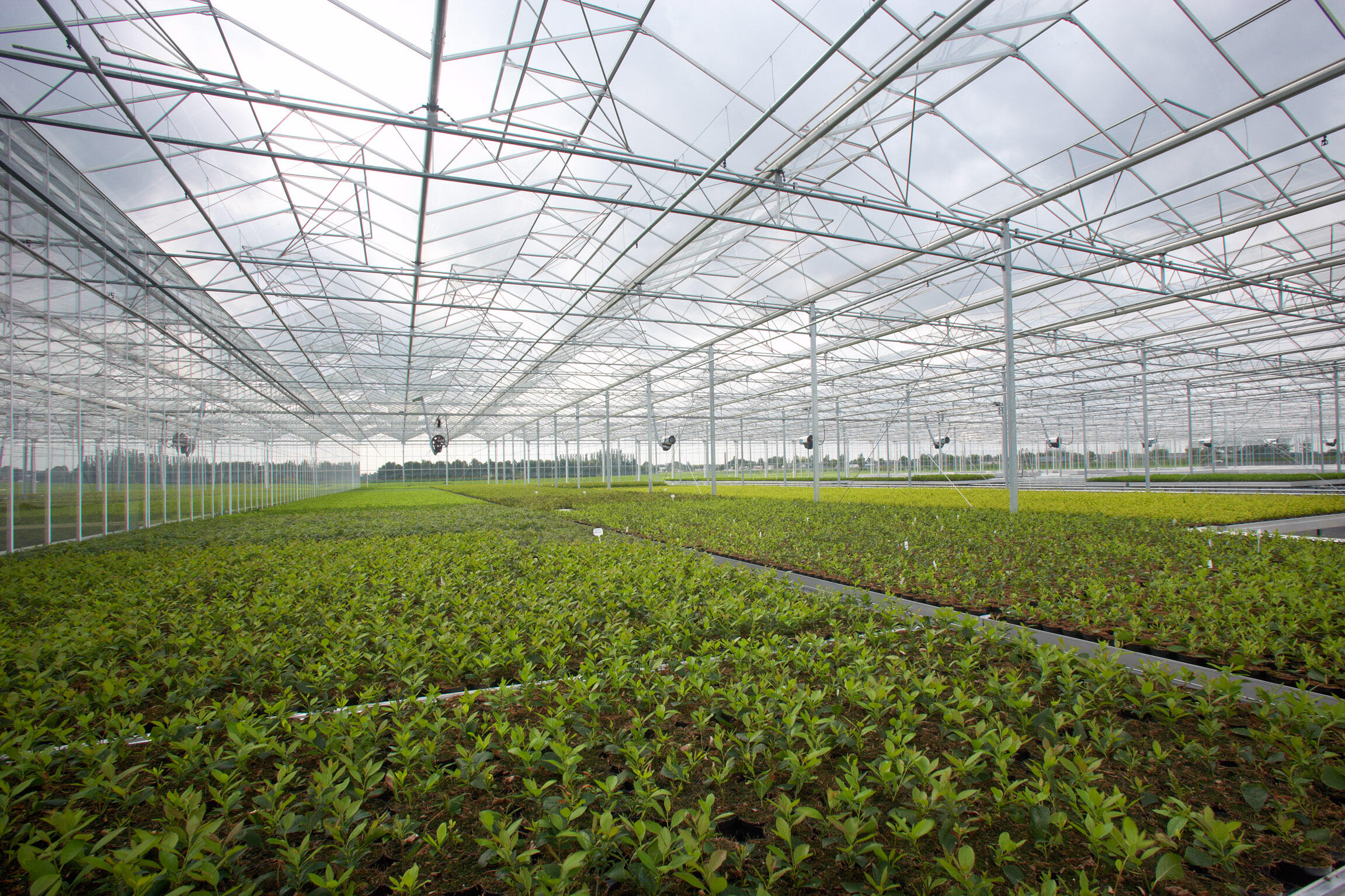 What Are the Latest Trends in Green House Roof Vent Technology?