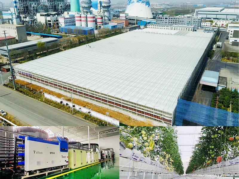 Nhà kính thông minh bán kín tại Tân Hương, tỉnh Hà Nam