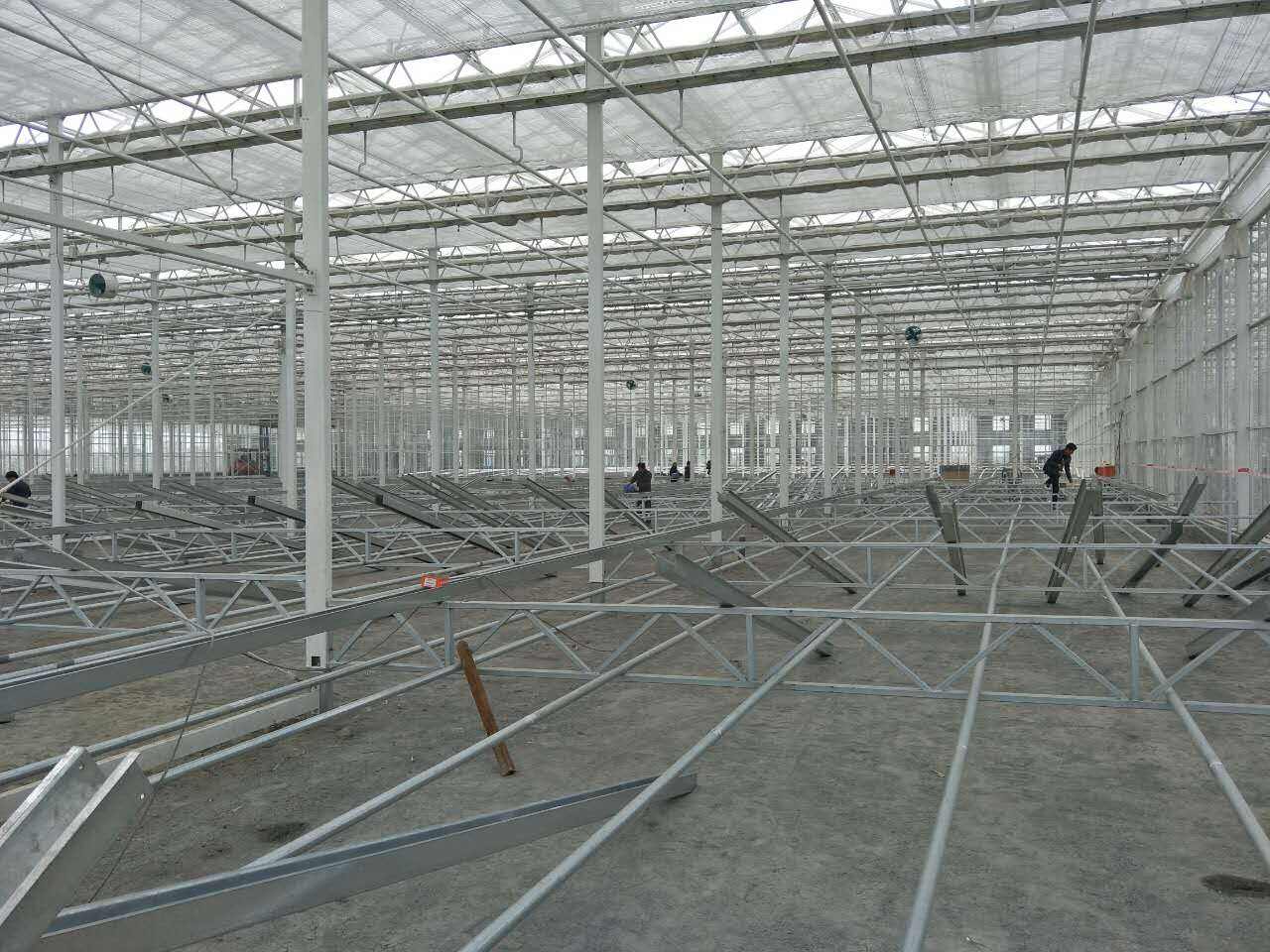 Dónde encontrar equipos y suministros hidropónicos al por mayor
