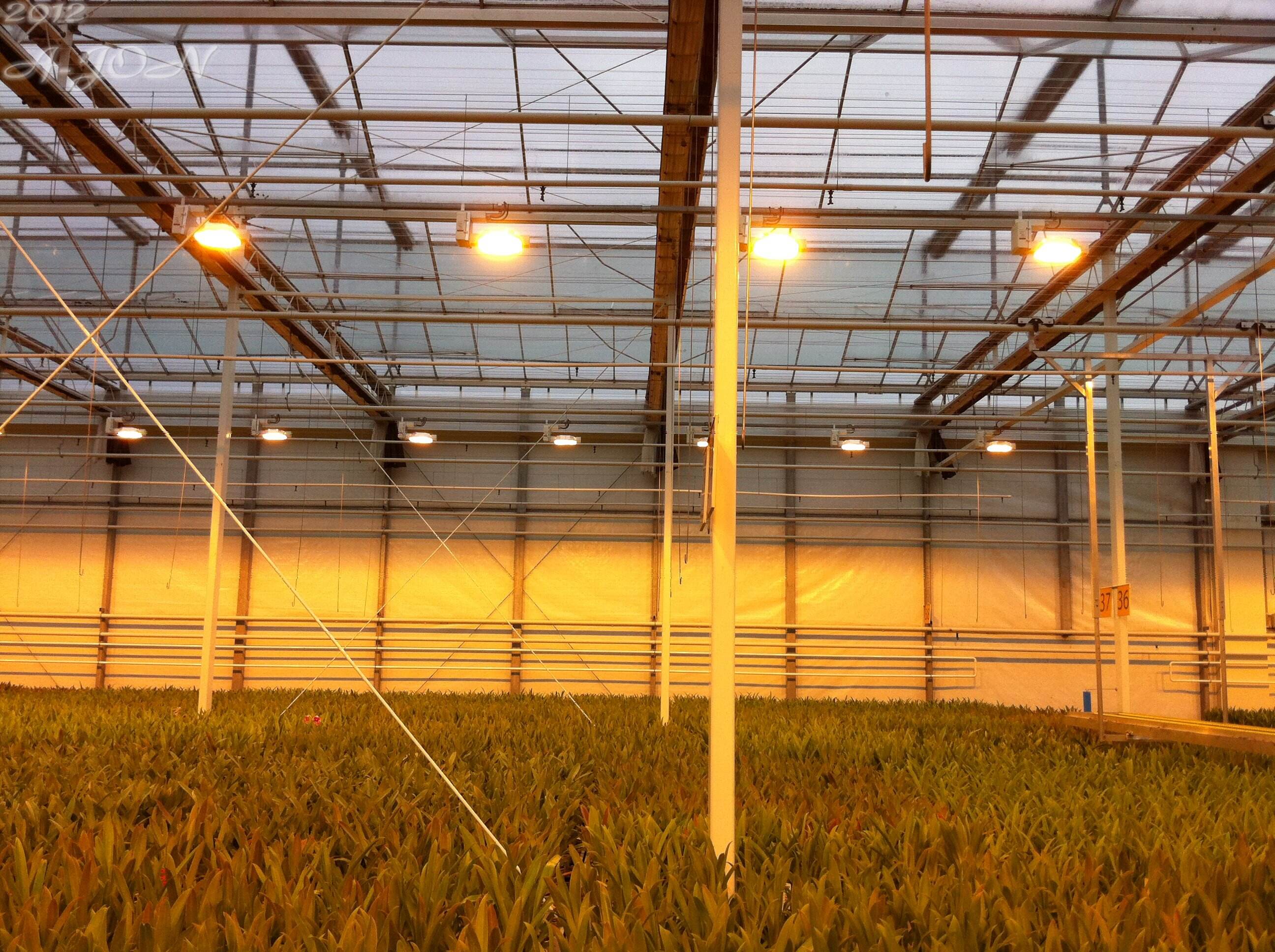 How to Maximize Yield with Efficient Vertical Aquaponics Techniques?
