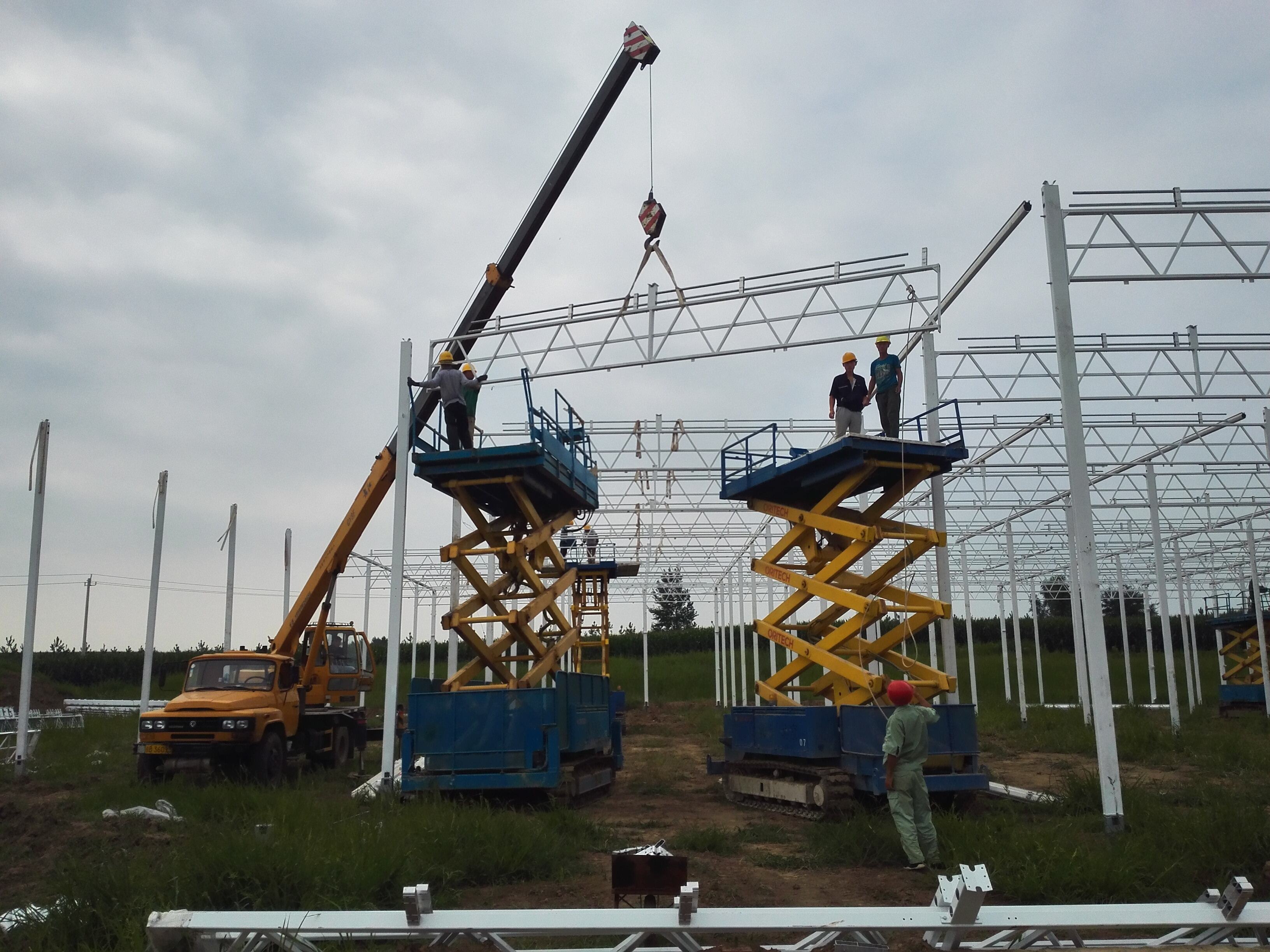 How Greenhouse Technology Enhances Crop Yields for Wholesale Buyers