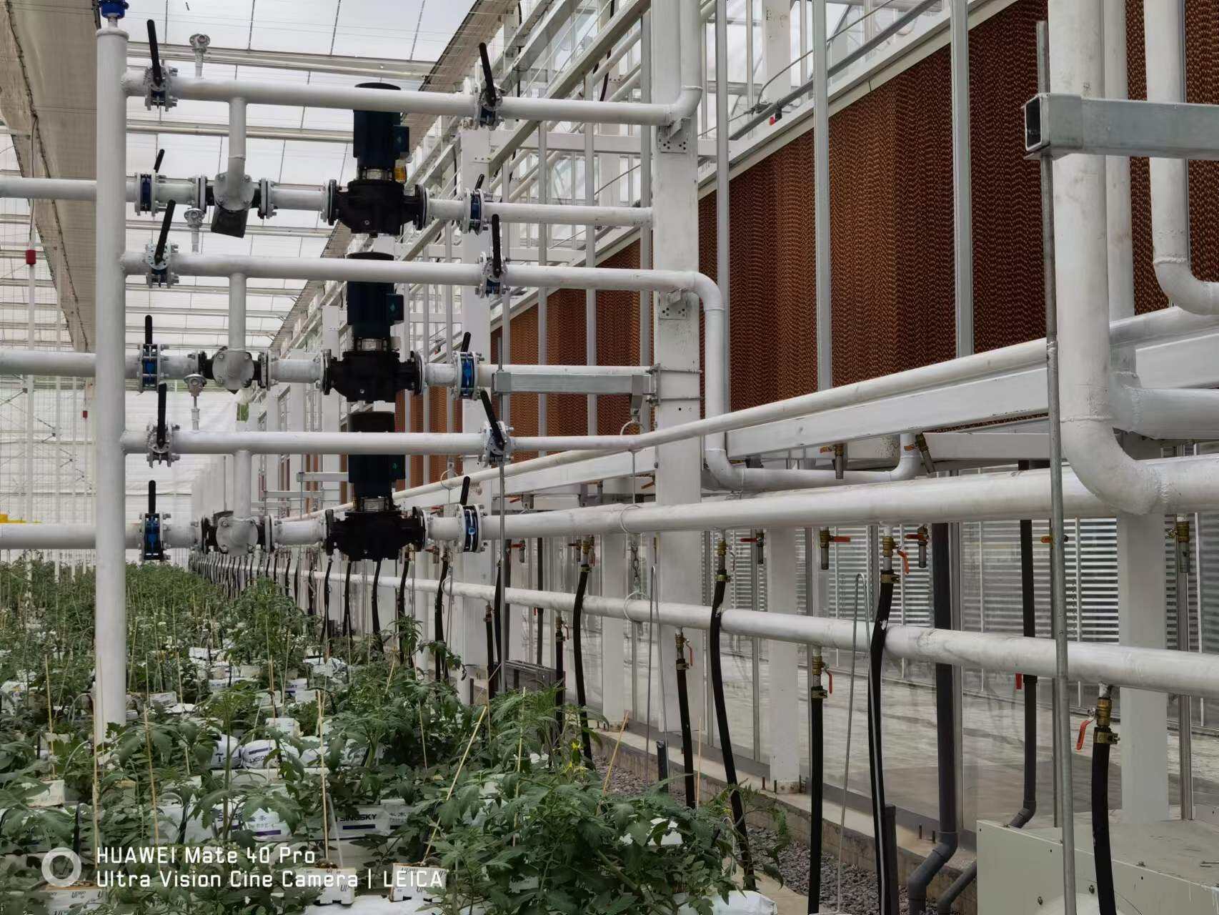 Where to Buy Affordable and High-Quality Irrigation Equipment for Greenhouses