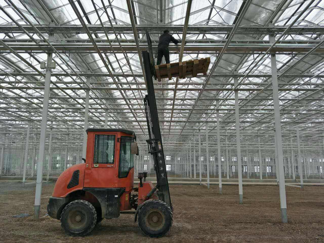 ¿Cómo funcionan los sistemas de nebulización para invernaderos para regular la temperatura y la humedad?