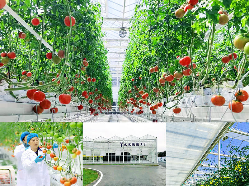 Tổ hợp đô thị Thủy Mộc Mạc Can Sơn