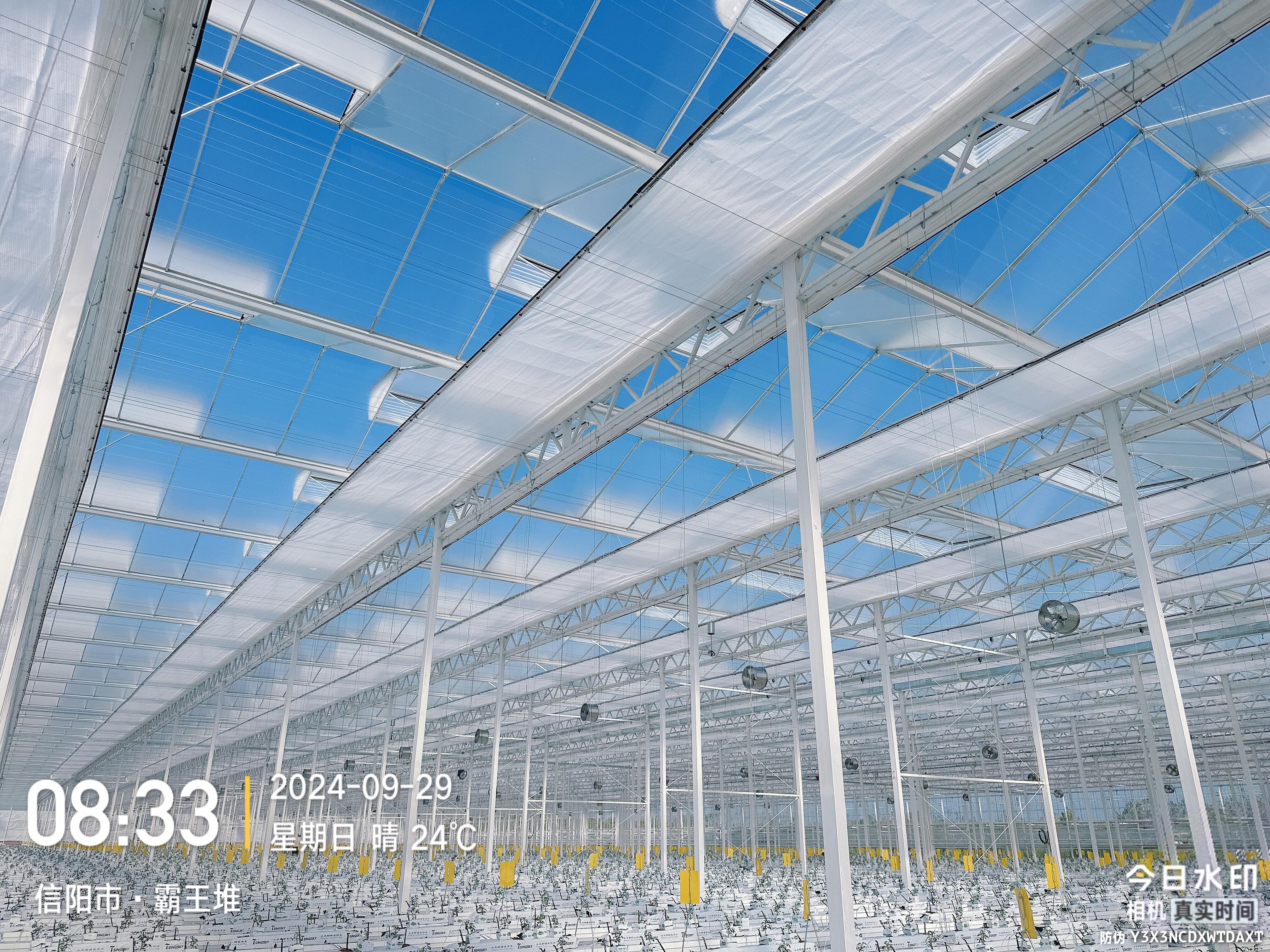 How Wind Resistant Greenhouses Enhance Crop Yield and Quality