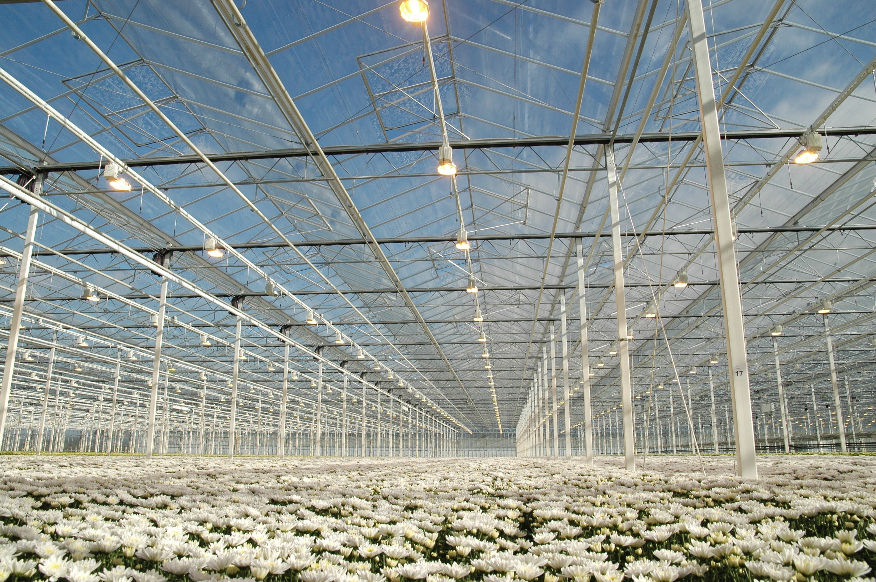 Where to Find Wholesale Small Greenhouse Ventilation Products?