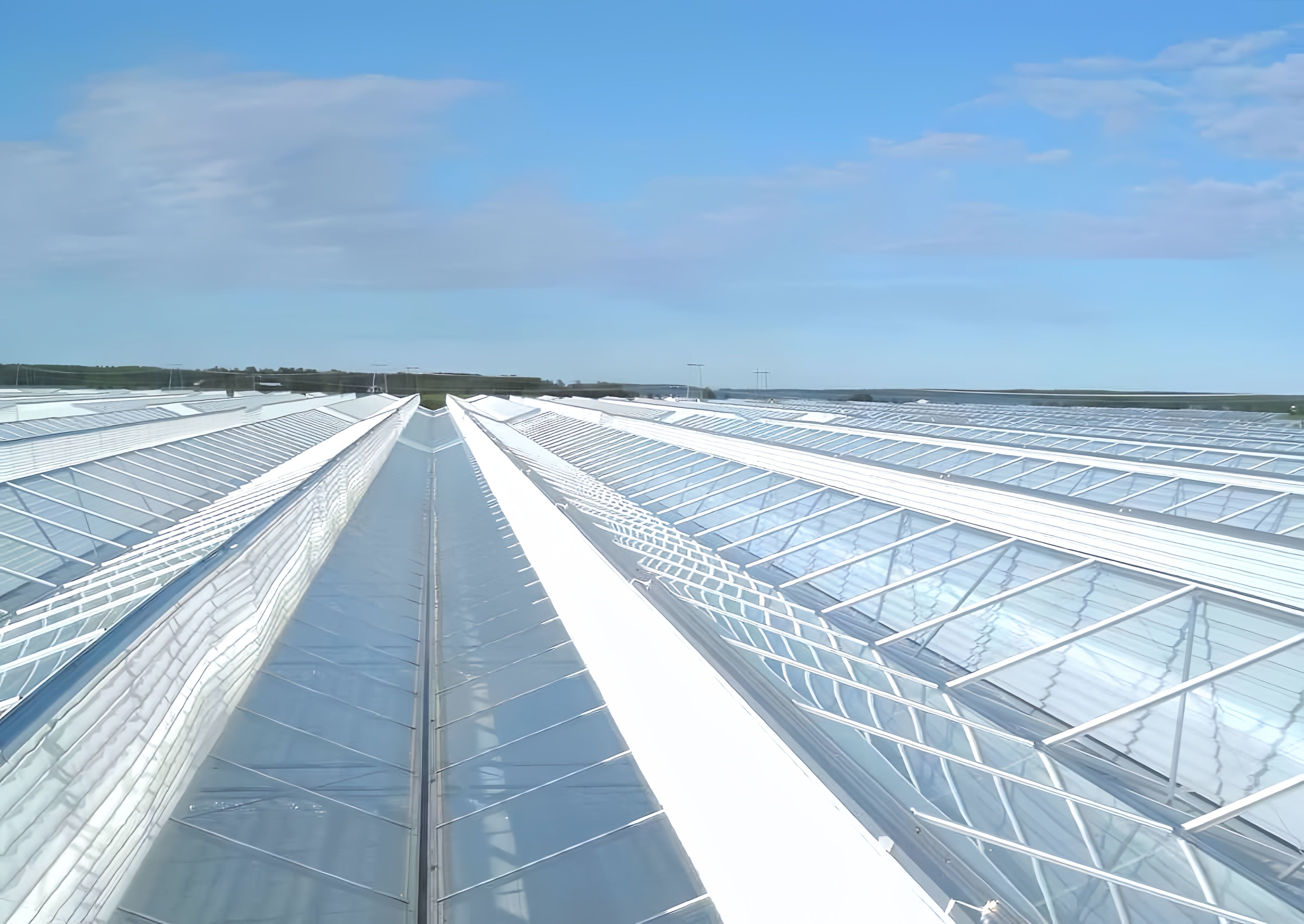 How to Optimize Airflow with Proper Greenhouse Roof Ventilation Techniques