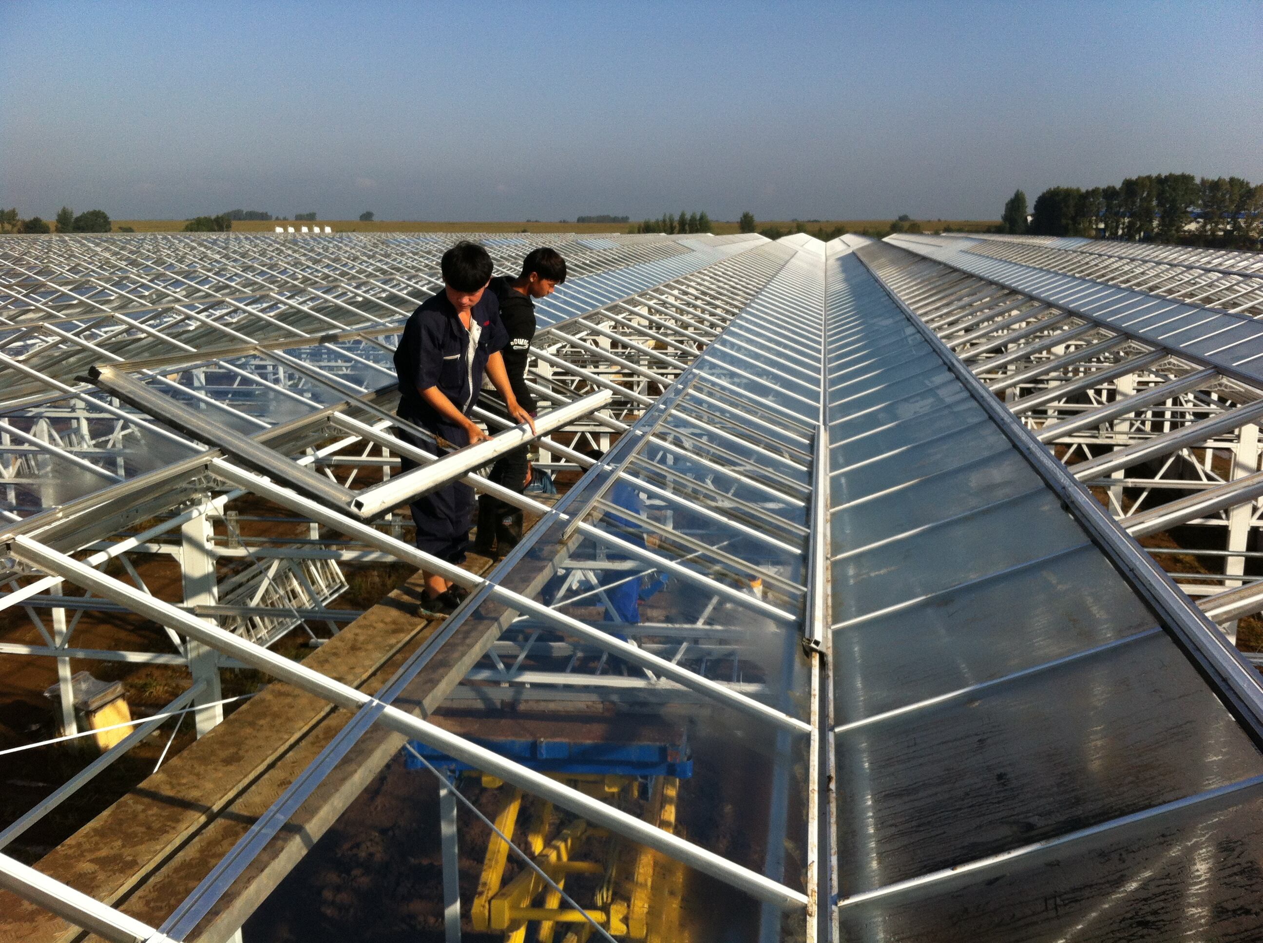 What Makes Greenhouse Glass Small the Best Choice for Sustainable Gardening?