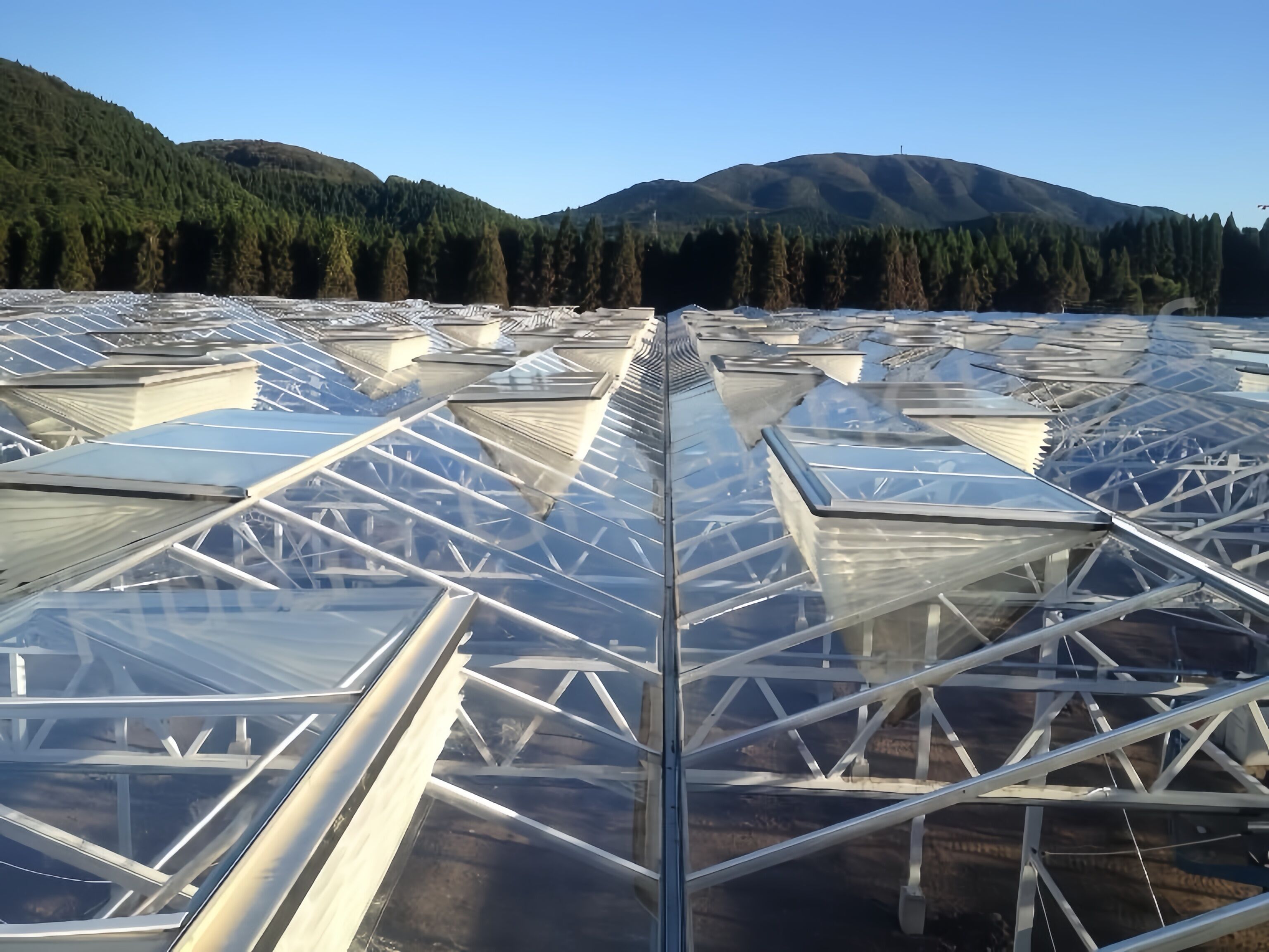 How Does Proper Ventilation Improve Plant Growth in Small Greenhouses?