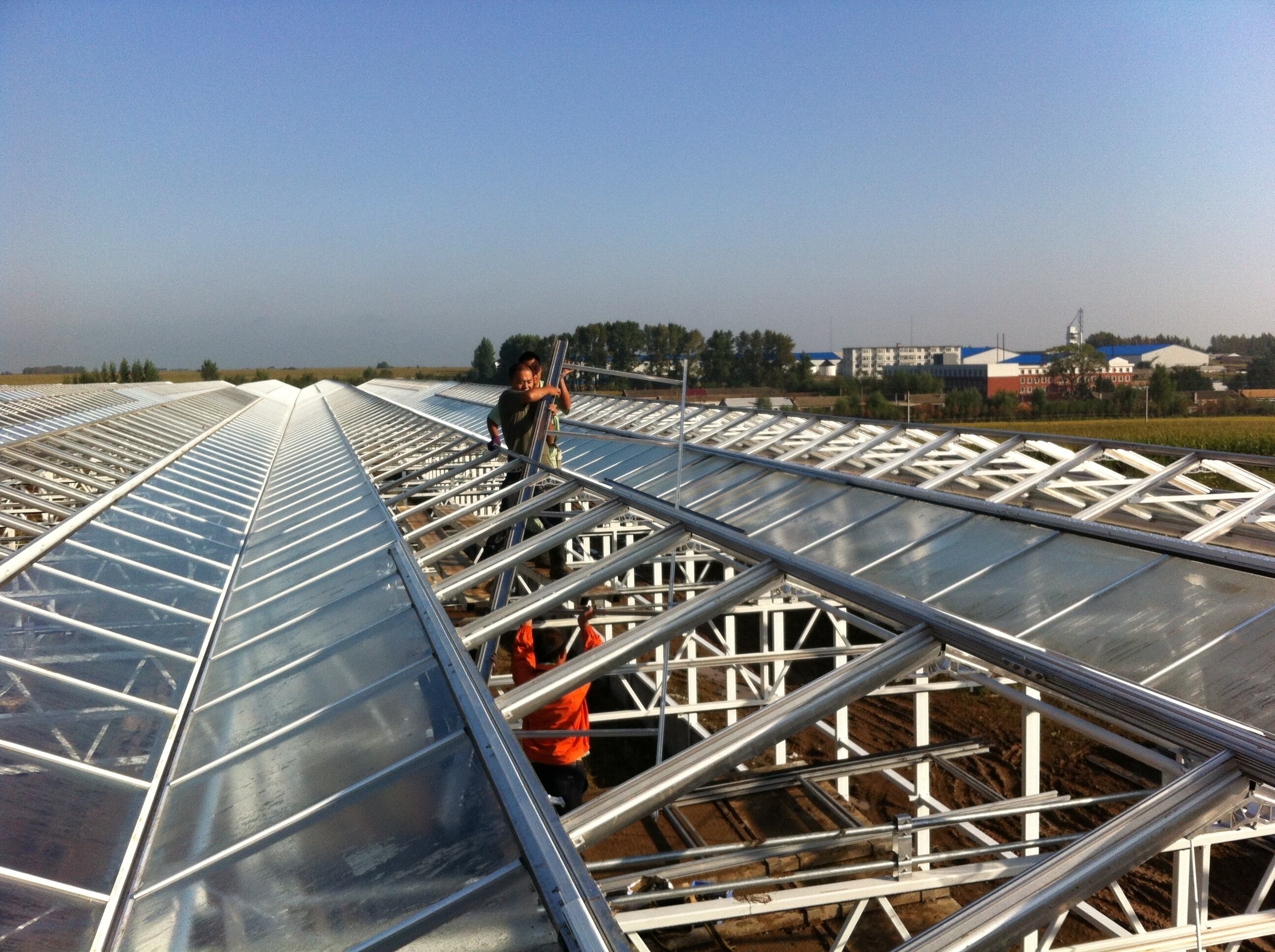 Where to Find High-Quality Wholesale Greenhouse Glass Small