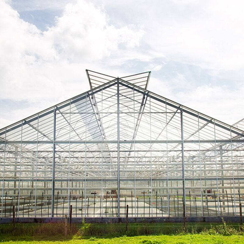 Greenhouse - Large span