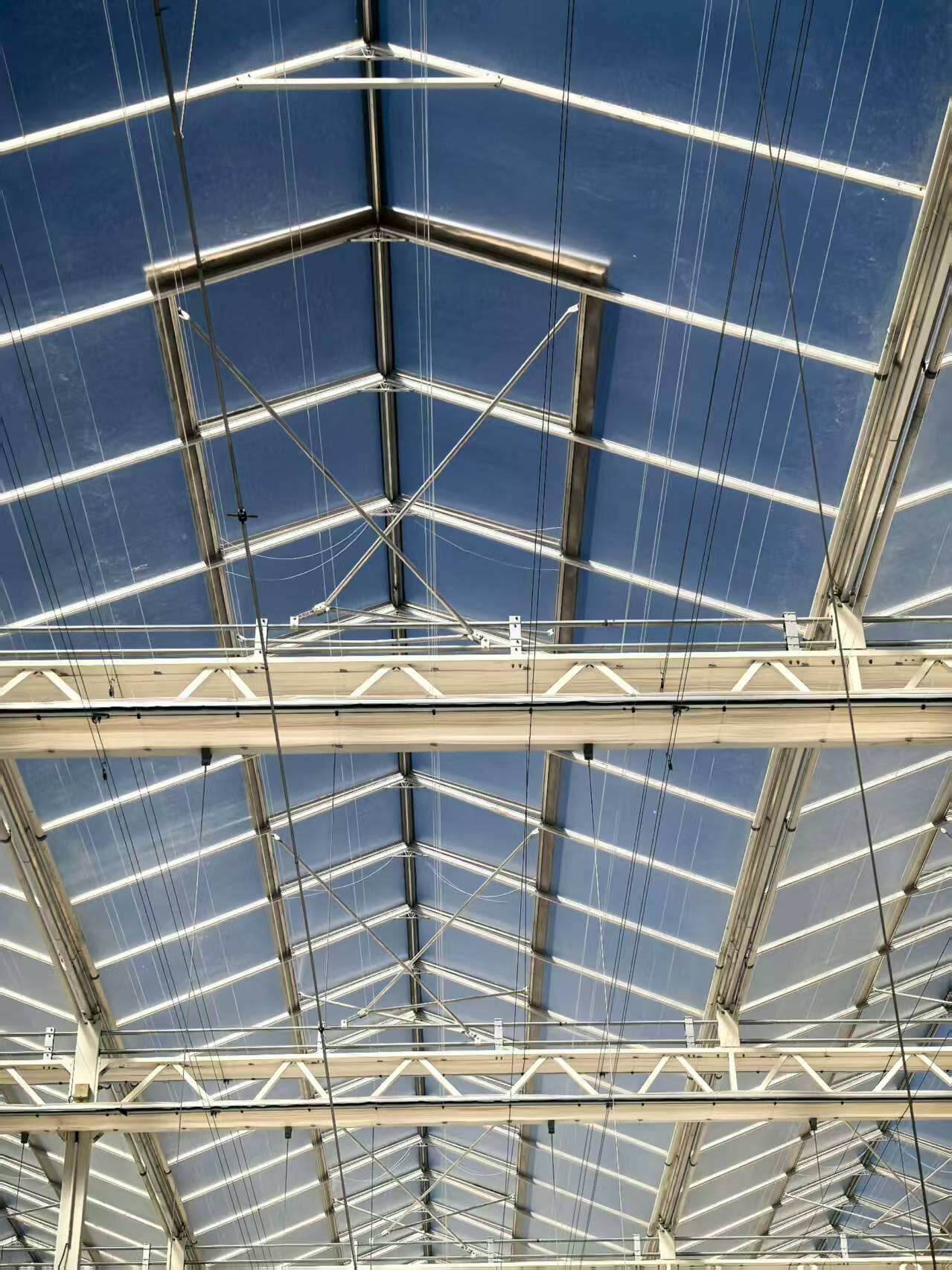 What Are Common Usage Issues with Greenhouse Systems and How to Resolve Them?
