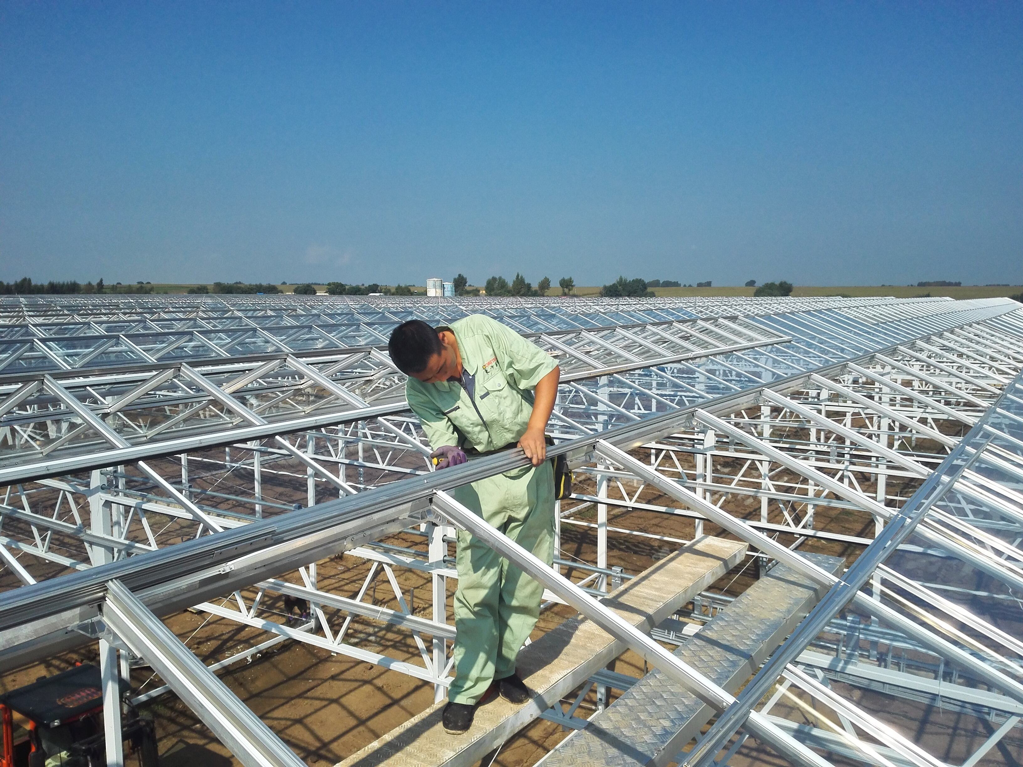 How to Maximize Yield with the Right Greenhouse Ventilation Solutions