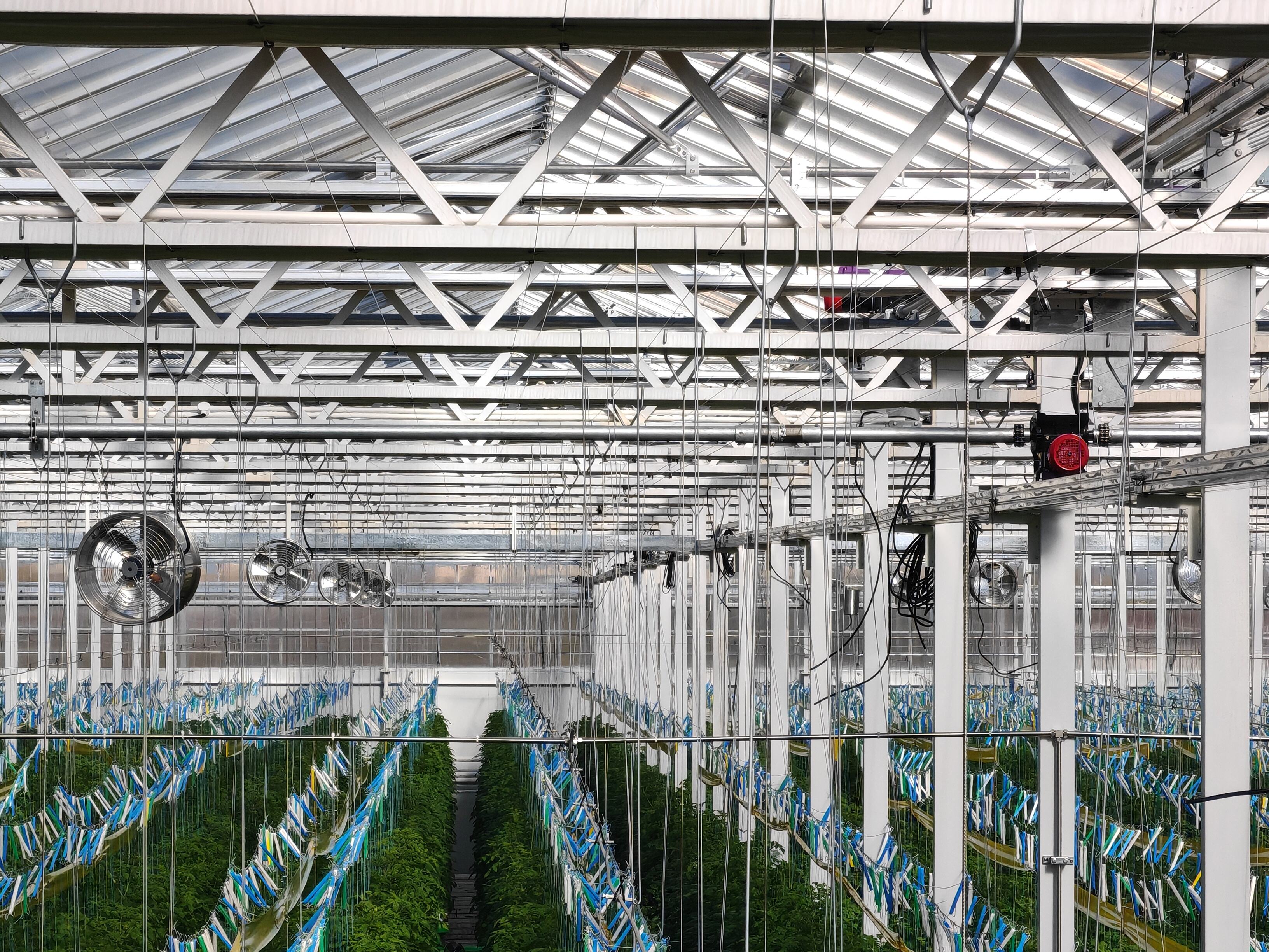 What Makes Greenhouse Hoop Kits a Must-Have for Serious Growers?