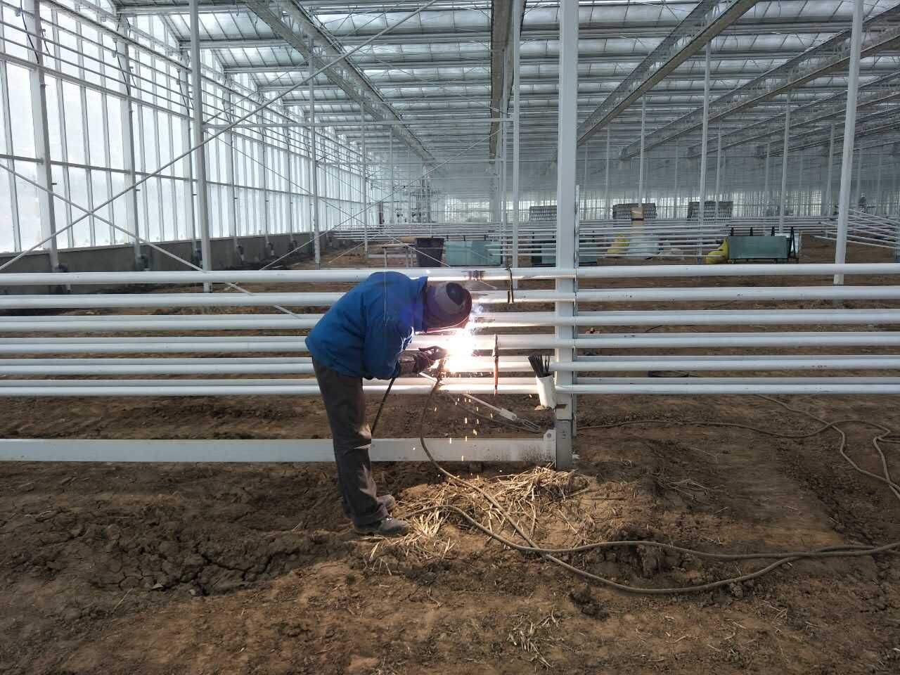 ¿Cuáles son las últimas innovaciones en la tecnología de calentadores tubulares para invernadero?