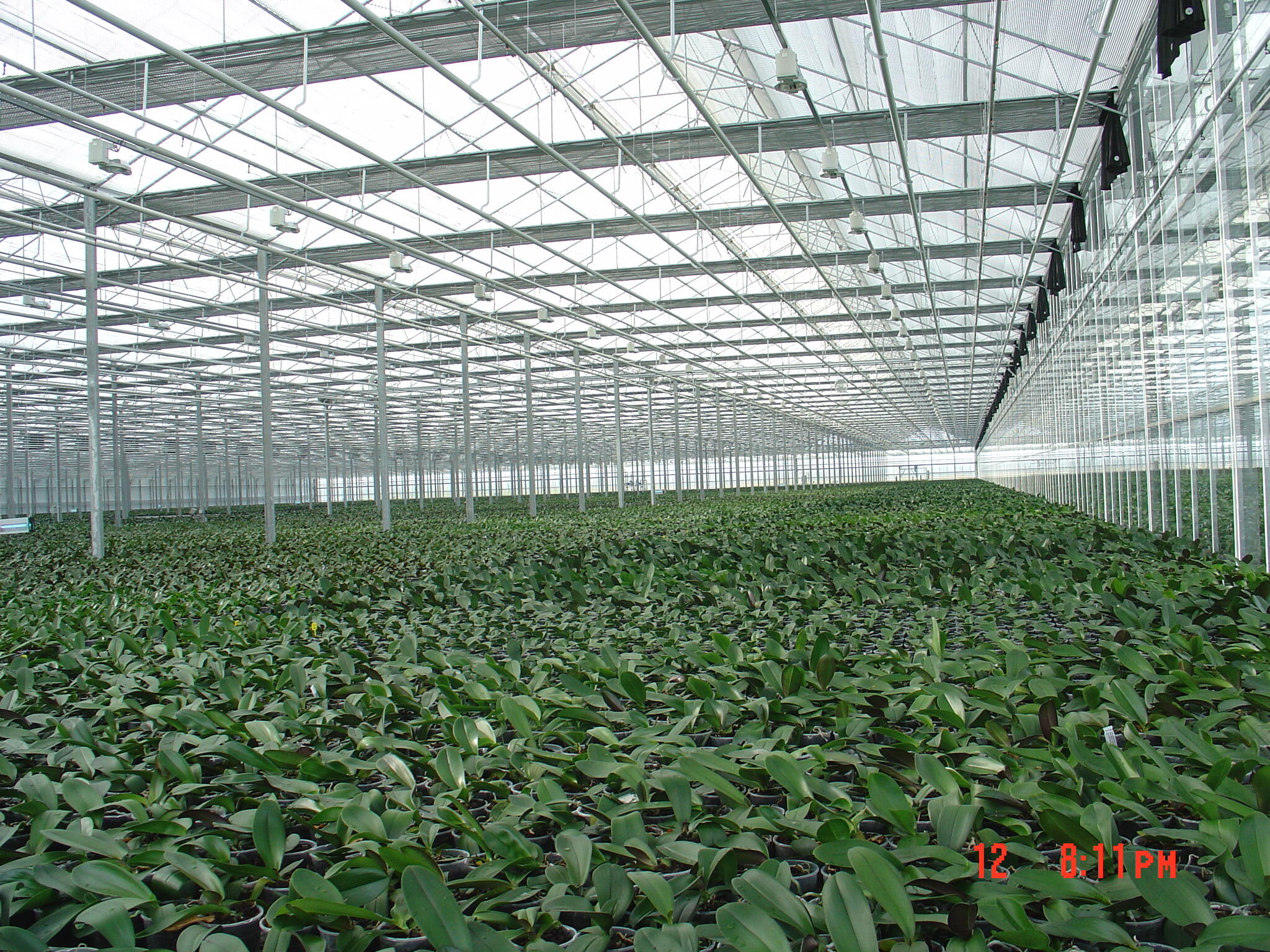 Where to Find High-Quality Botanical Glasshouses for Your Nursery