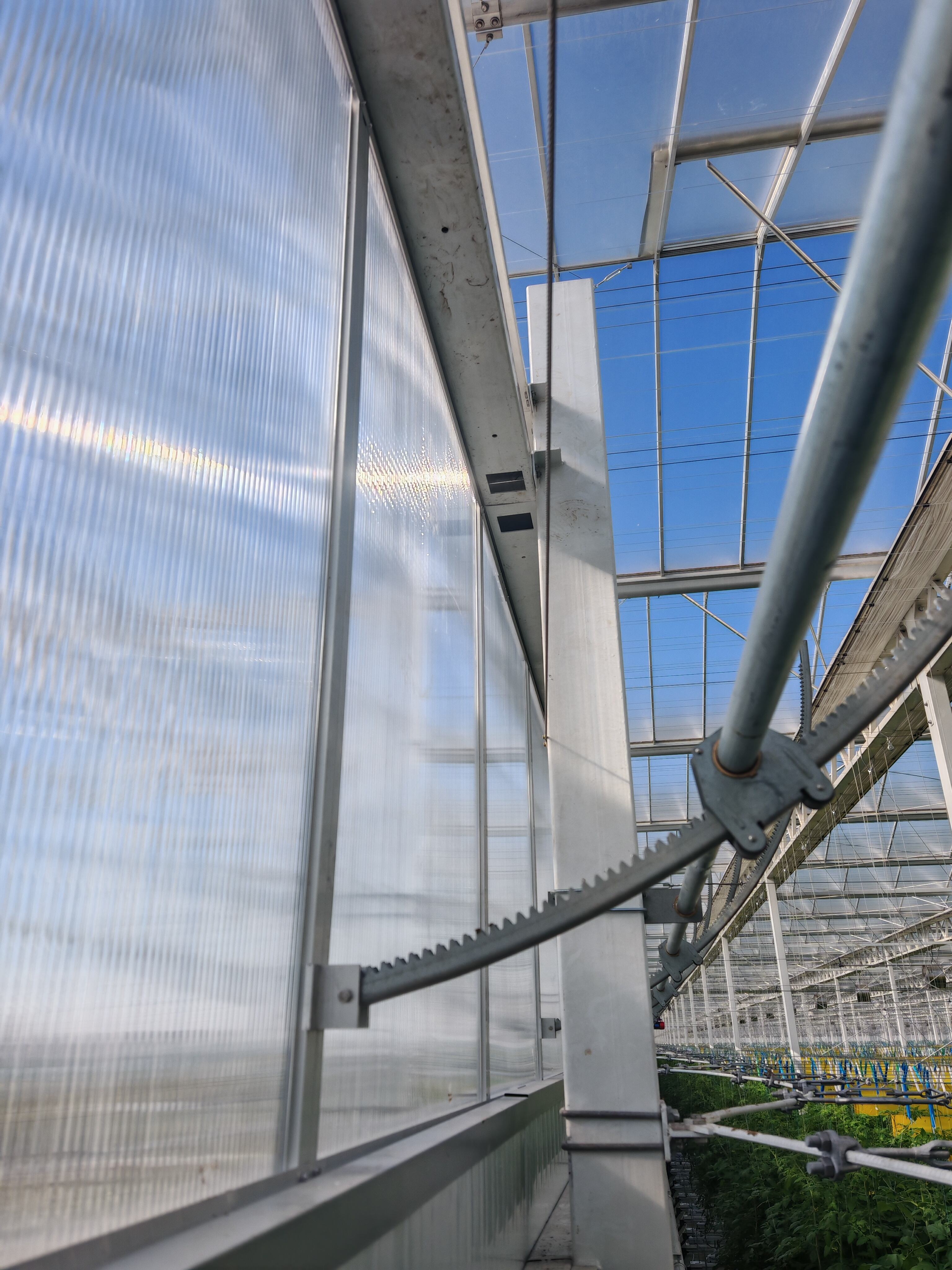 How Greenhouse Hoop Kits Can Transform Your Growing Space Efficiently?