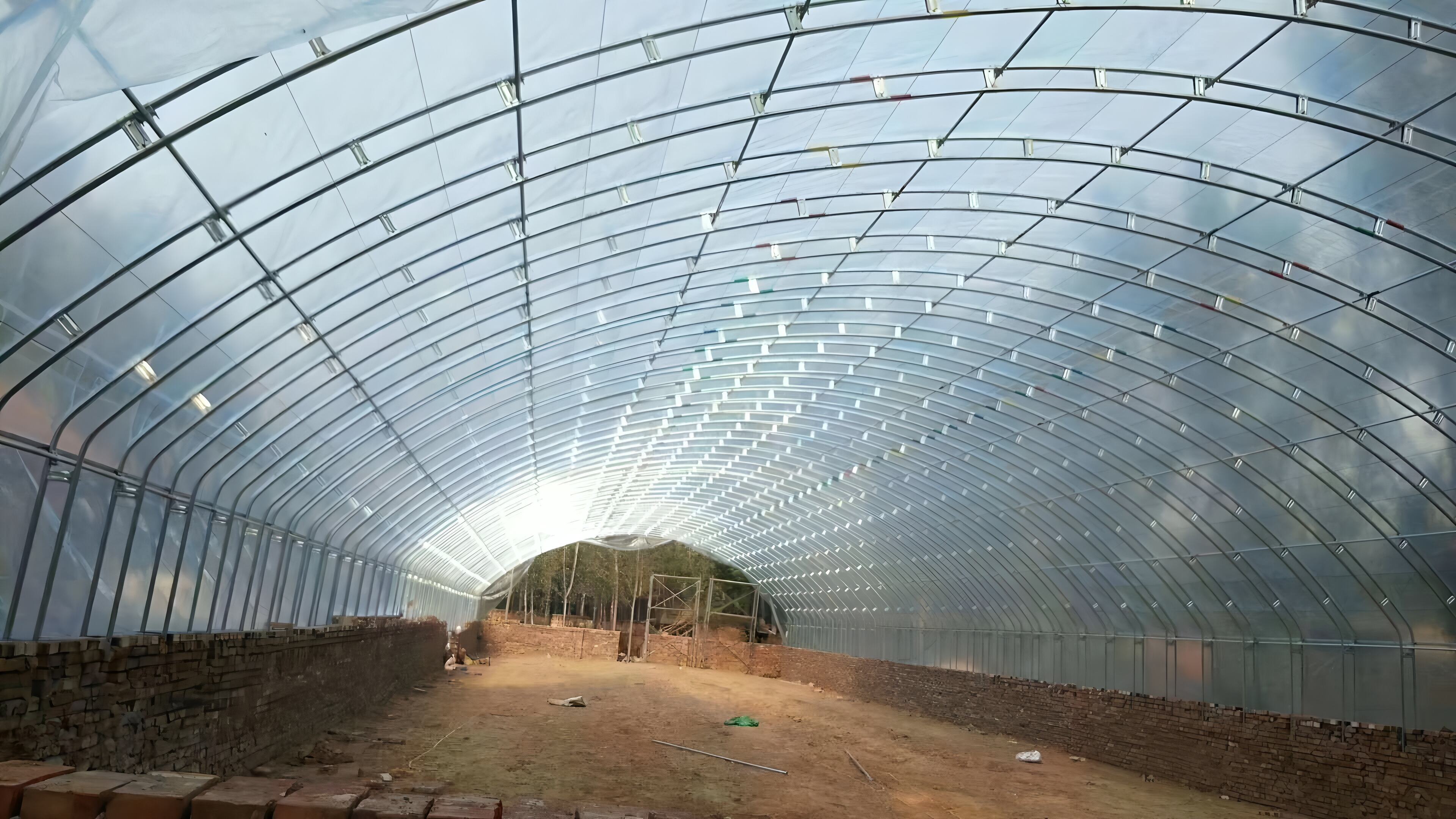 How to Choose the Right High Tunnel Greenhouse for Your Business Needs