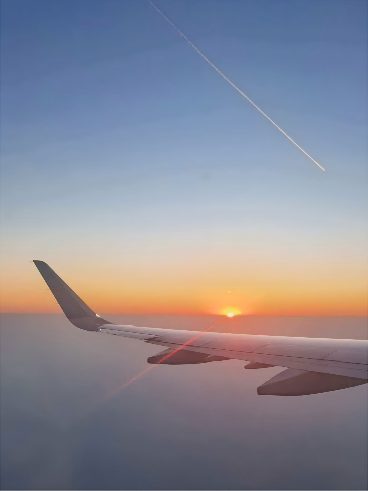 hauya shines at 2026 kazakhstan international flowers horticulture expo with advanced greenhouse solutions-0