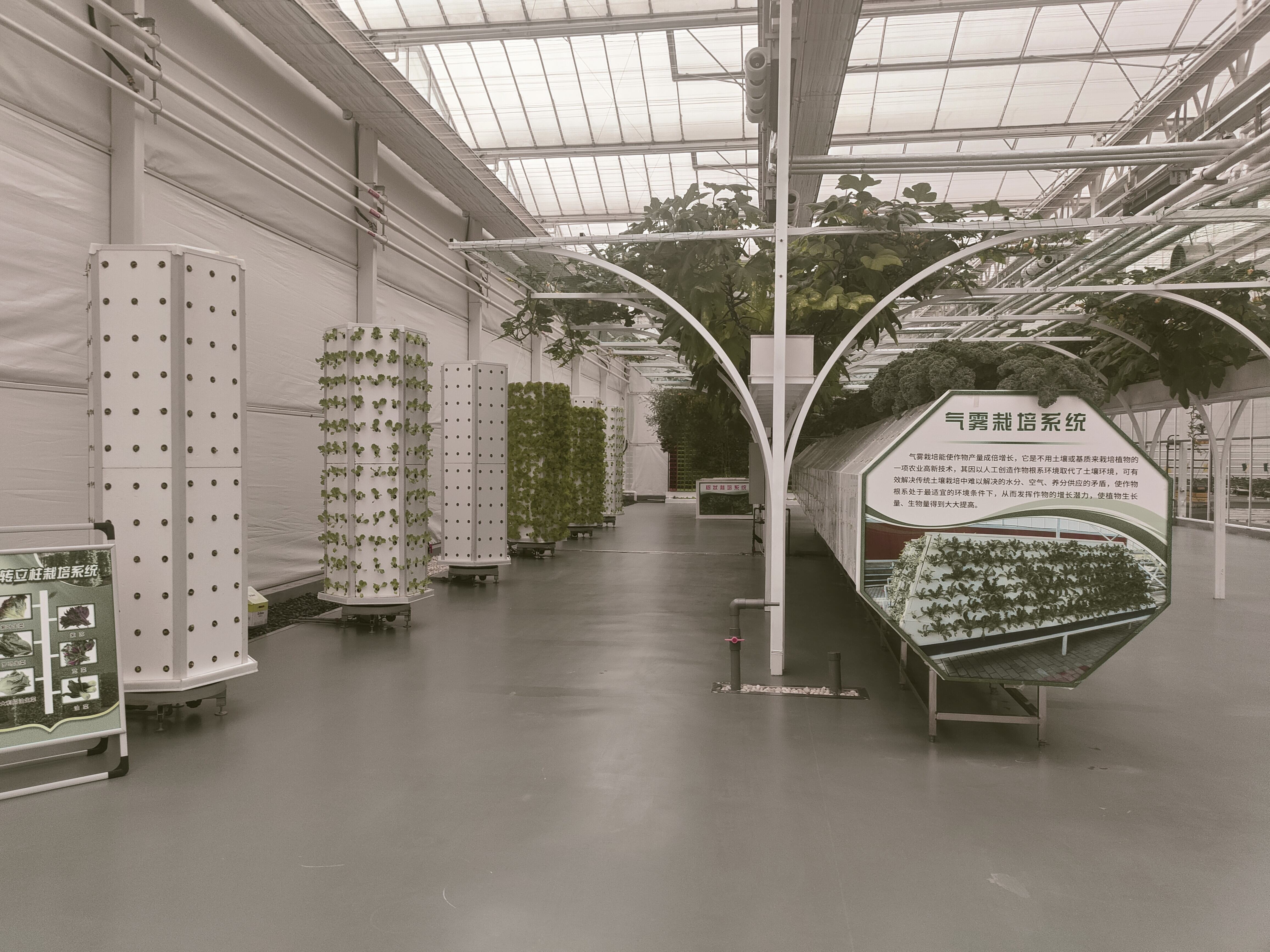 Dónde encontrar sistemas de cultivo doméstico de alta calidad a precios al por mayor