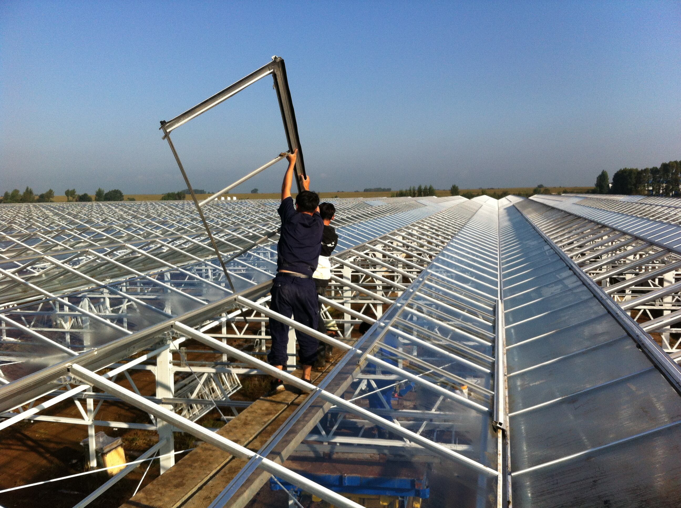 How to Install Greenhouse Glass Small for Maximum Efficiency