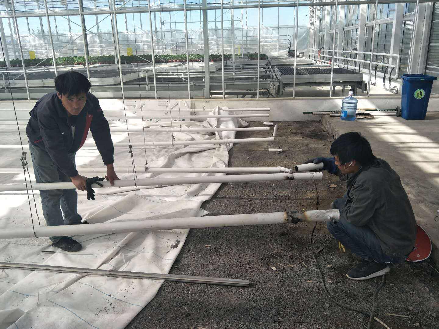 ¿Cómo afectan los distintos métodos de calefacción a la productividad del invernadero?