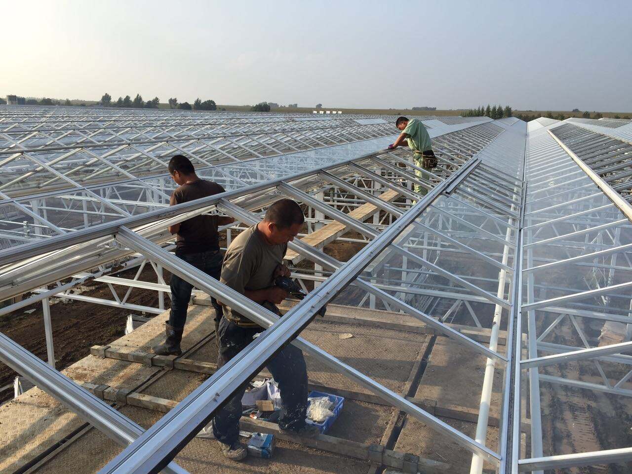 Common Issues with Wood Frames for Greenhouses and How to Solve Them
