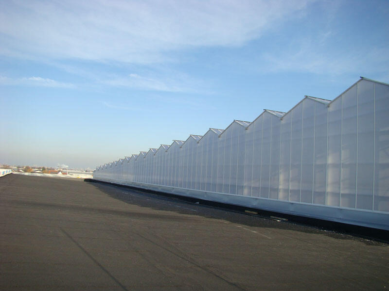 What Common Issues Do Wholesale Buyers Face with Greenhouses?