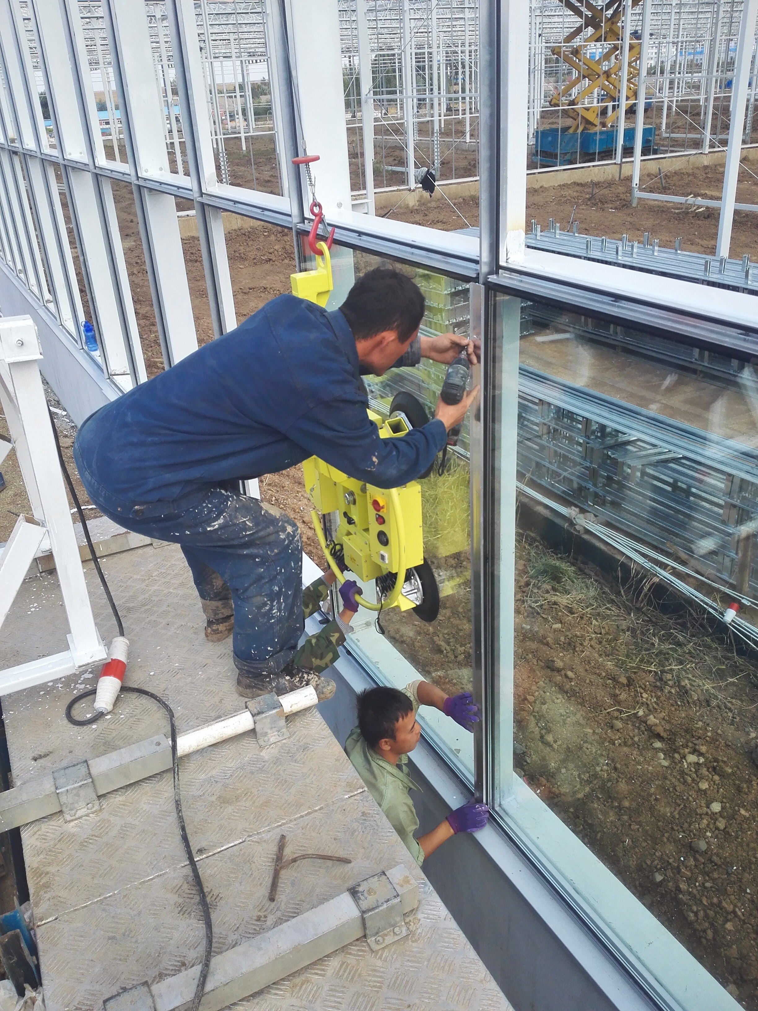 How Glass Panels Enhance Plant Growth and Yield in Greenhouses