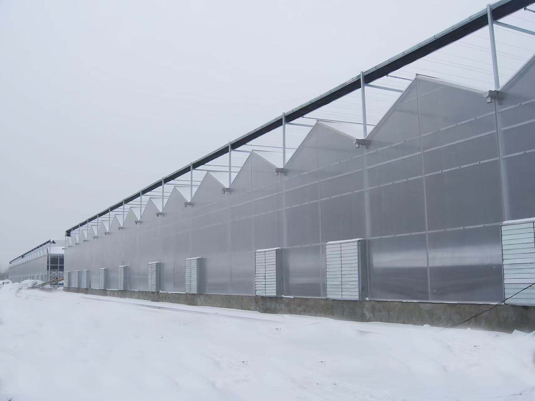 What Are the Latest Innovations in PVC Pipe Greenhouse Frame Design?