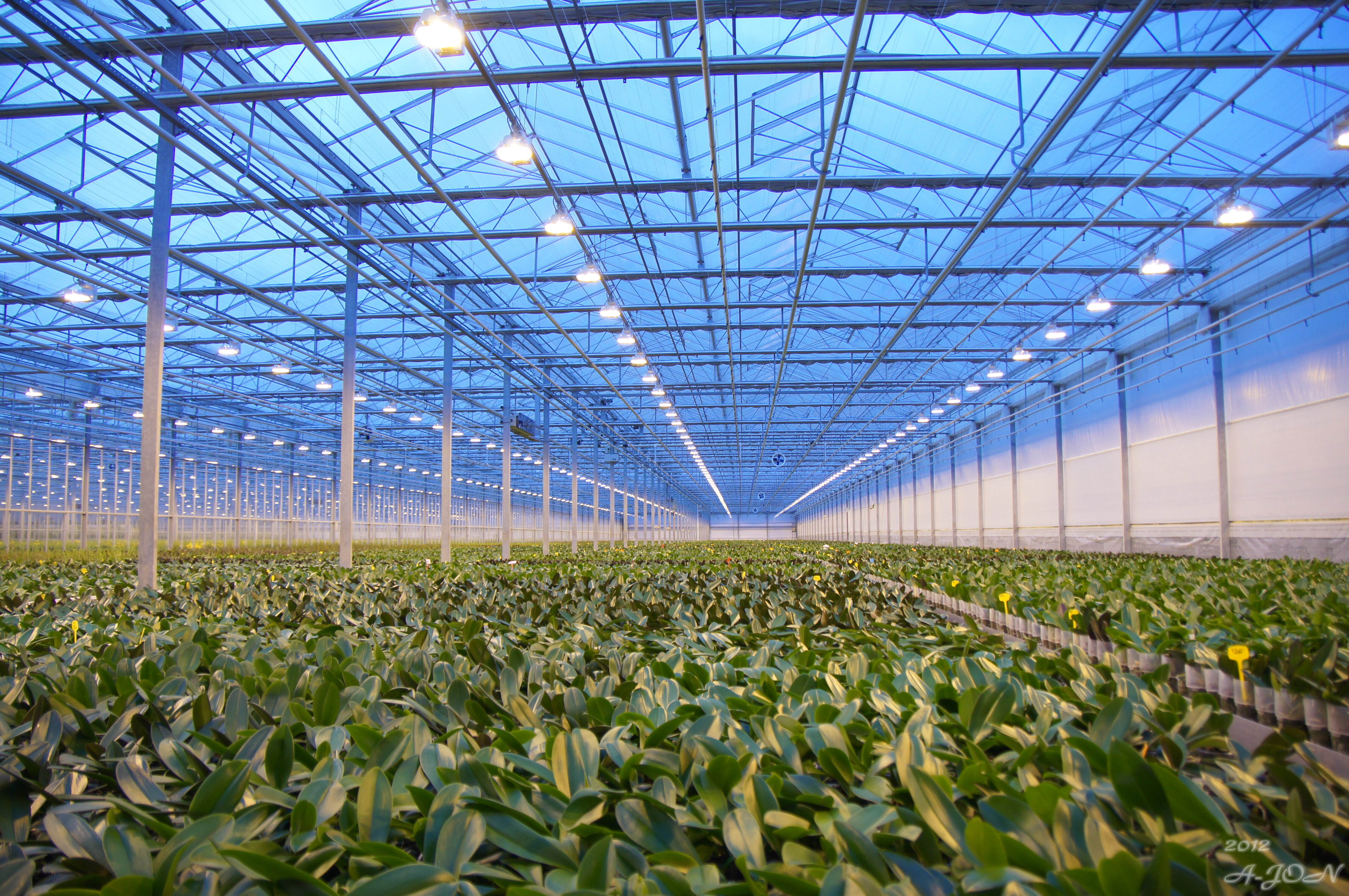 Where to Source Affordable Wind Resistant Greenhouses for Retail