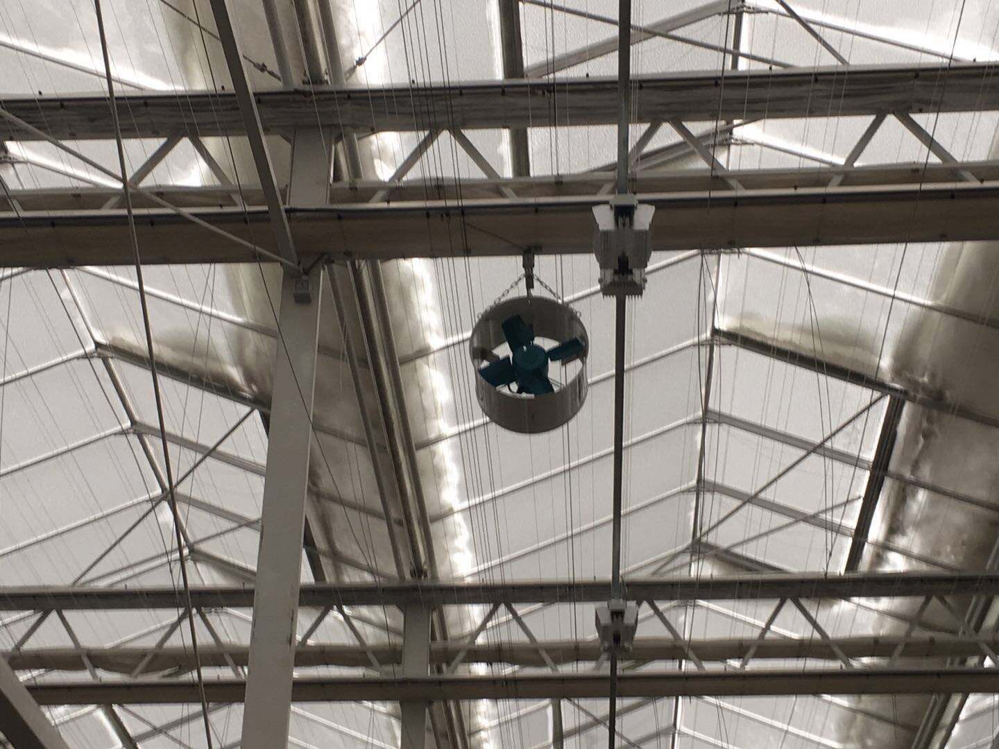 How Do Greenhouse Solar Ventilation Fans Improve Plant Growth?