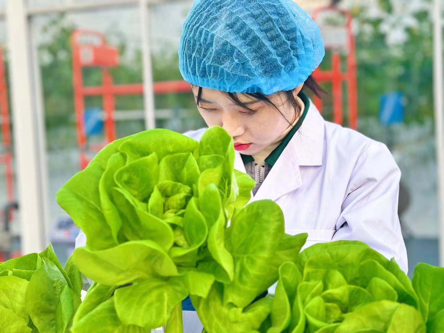 ¿Qué hace que los sistemas de cultivo doméstico sean ideales para la agricultura urbana?