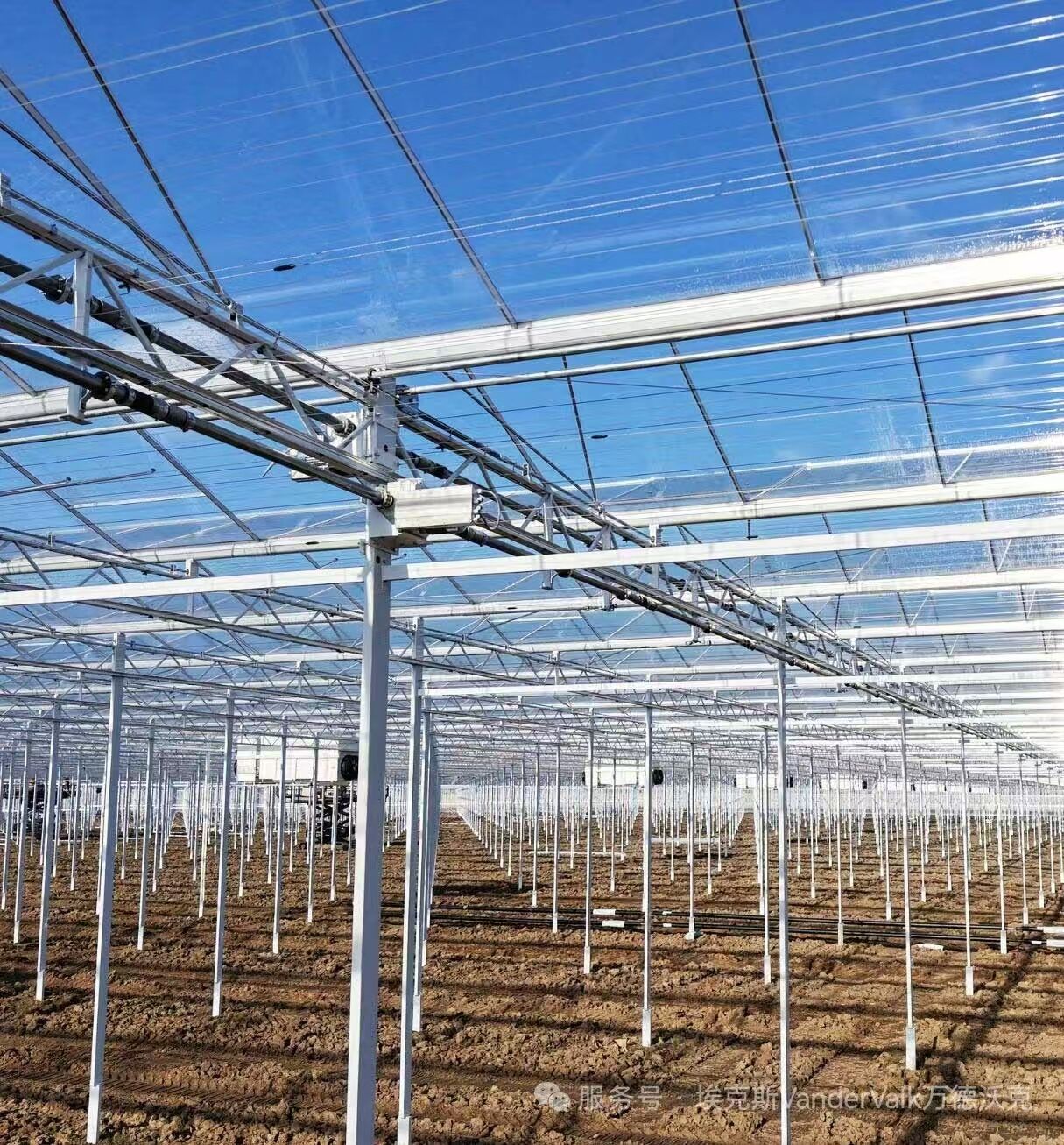What Features Make a Greenhouse System Ideal for Wholesale Production?