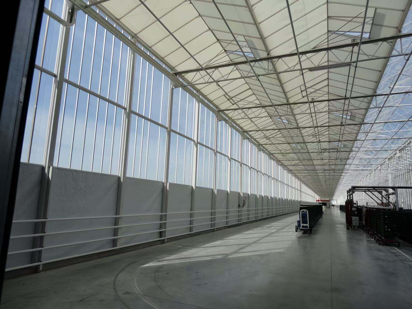 What Are the Benefits of Using PVC Pipe Greenhouse Frames Over Traditional Materials?