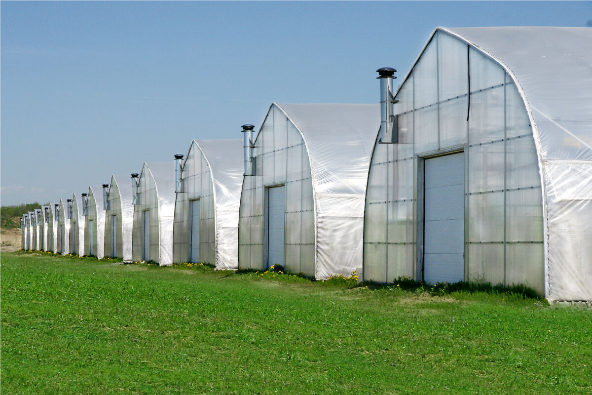 How to Choose the Right High Tunnel Greenhouse Kit for Your Needs