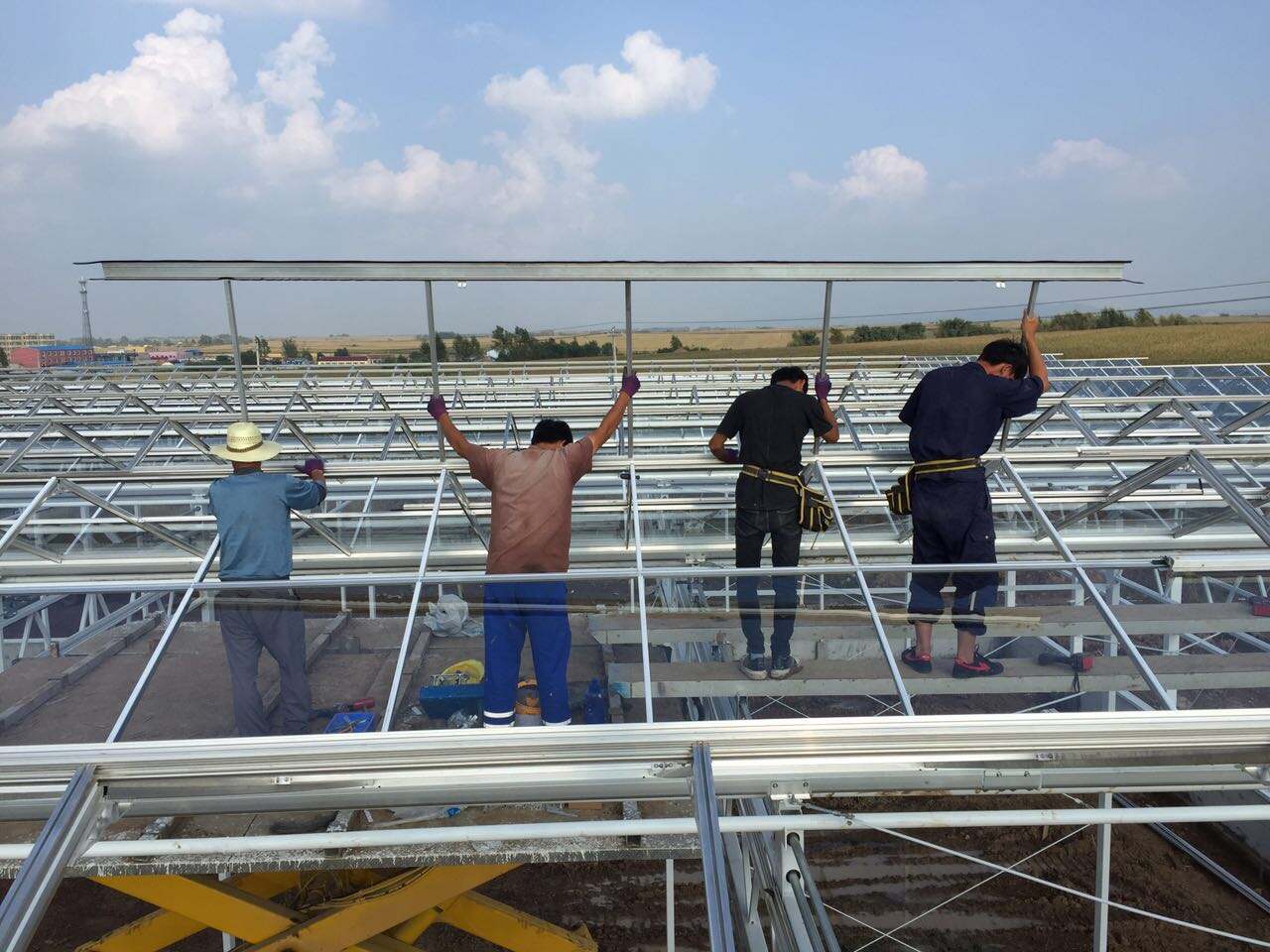 What Types of Wood Are Best for Greenhouse Frames?