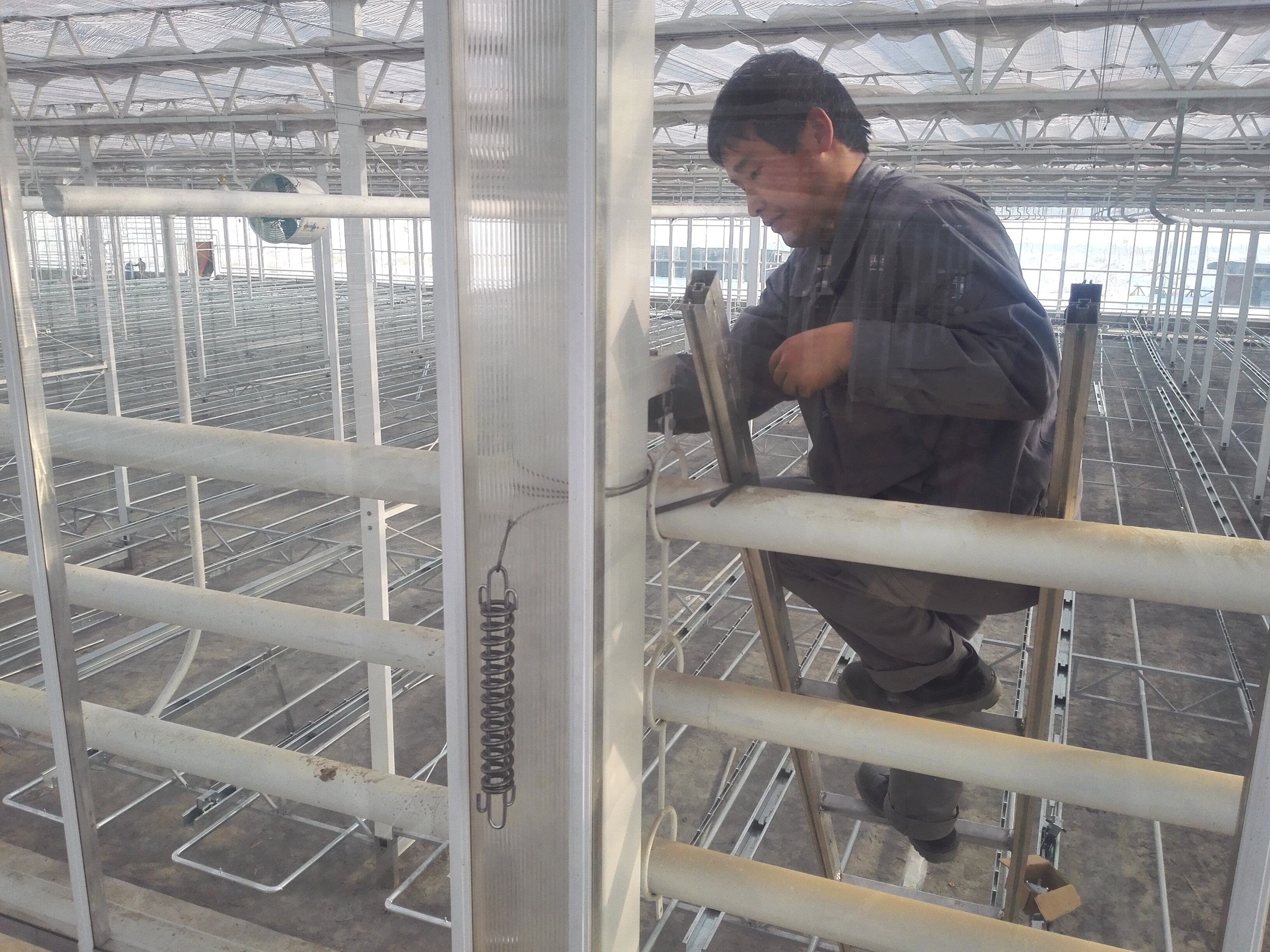 What Are the Latest Trends in Greenhouse Misting Technology?