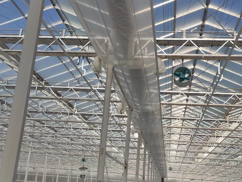 Cómo los invernaderos Venlo pueden optimizar sus condiciones de cultivo