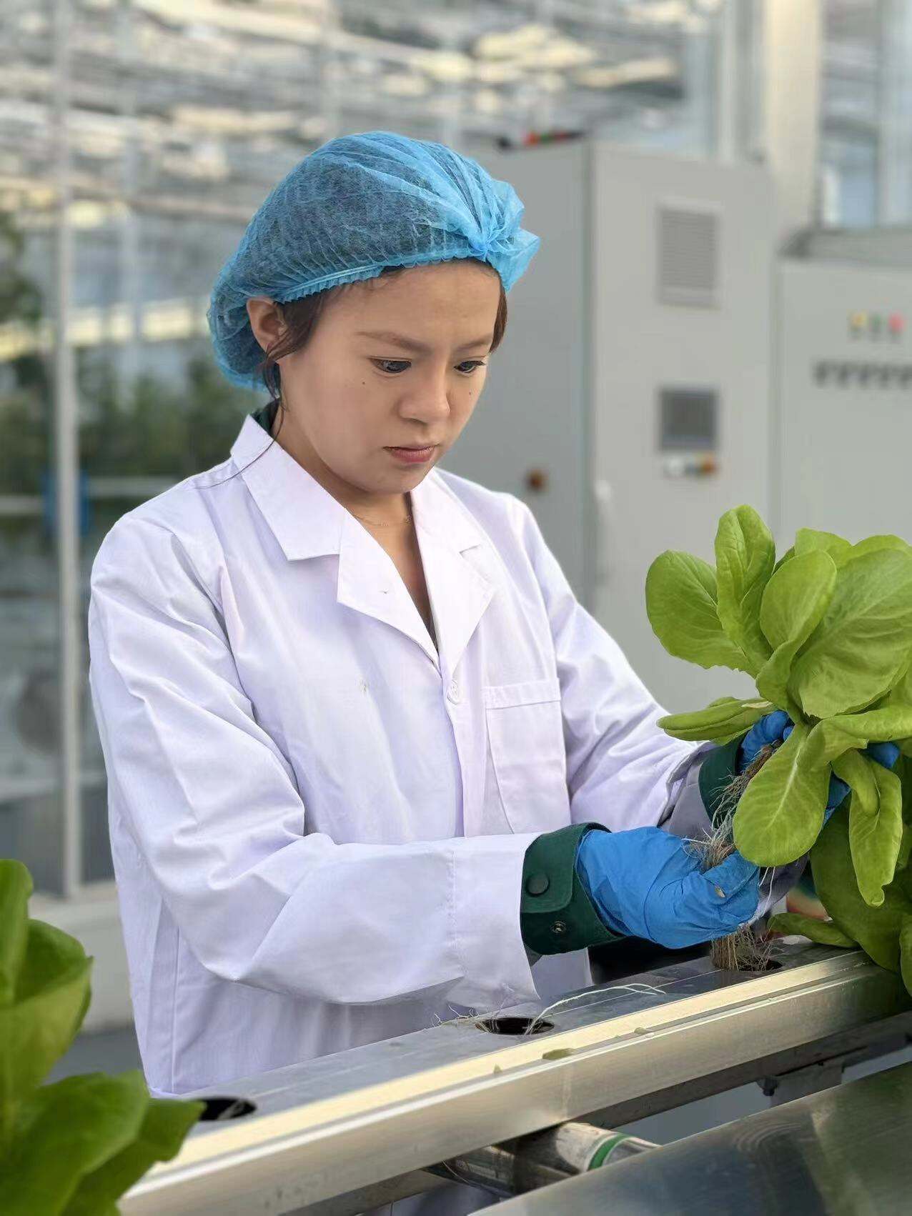 Problemas comunes de uso con los sistemas de cultivo doméstico y cómo resolverlos