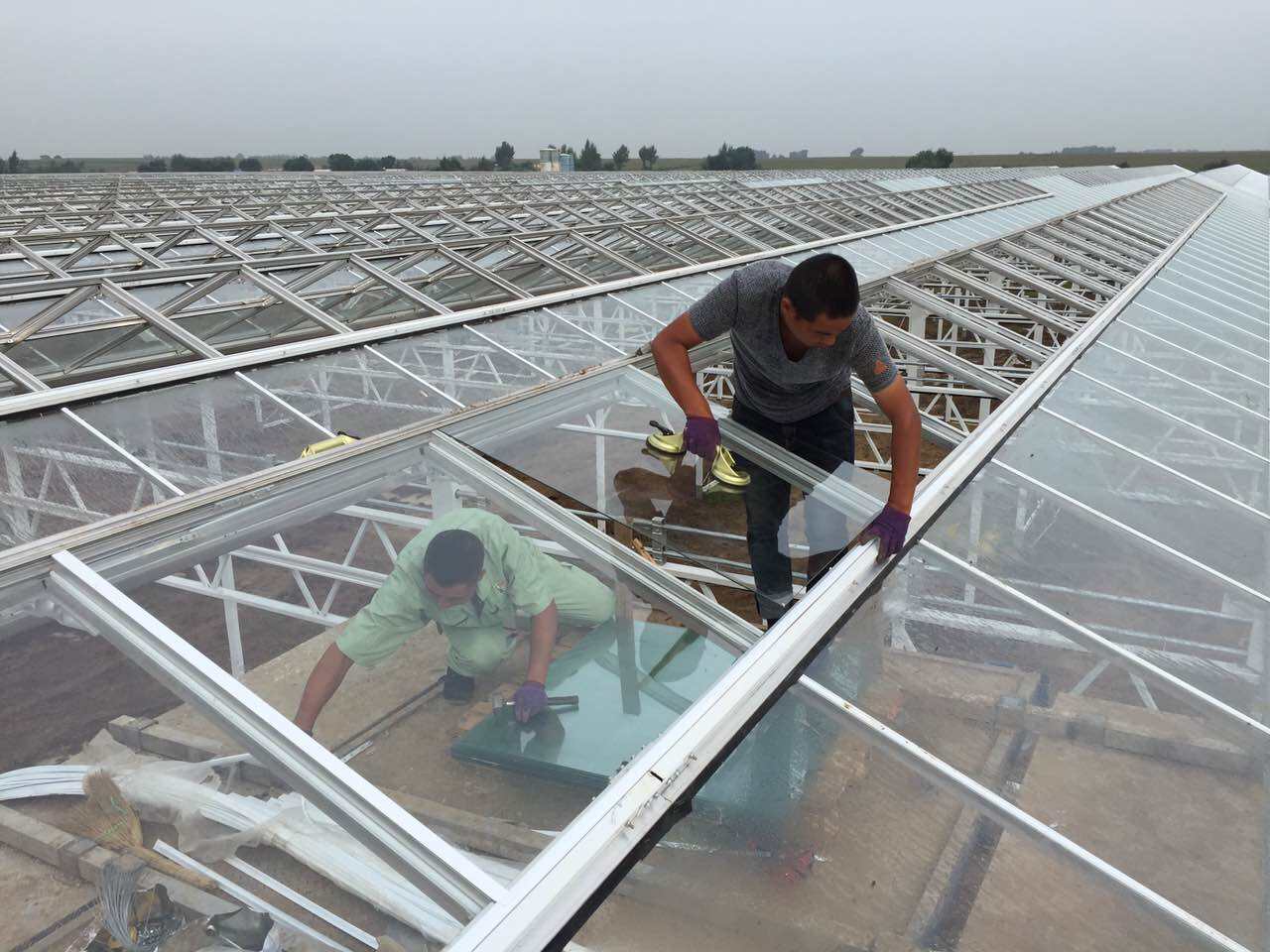 How to Maintain and Care for Your Wooden Greenhouse Frame